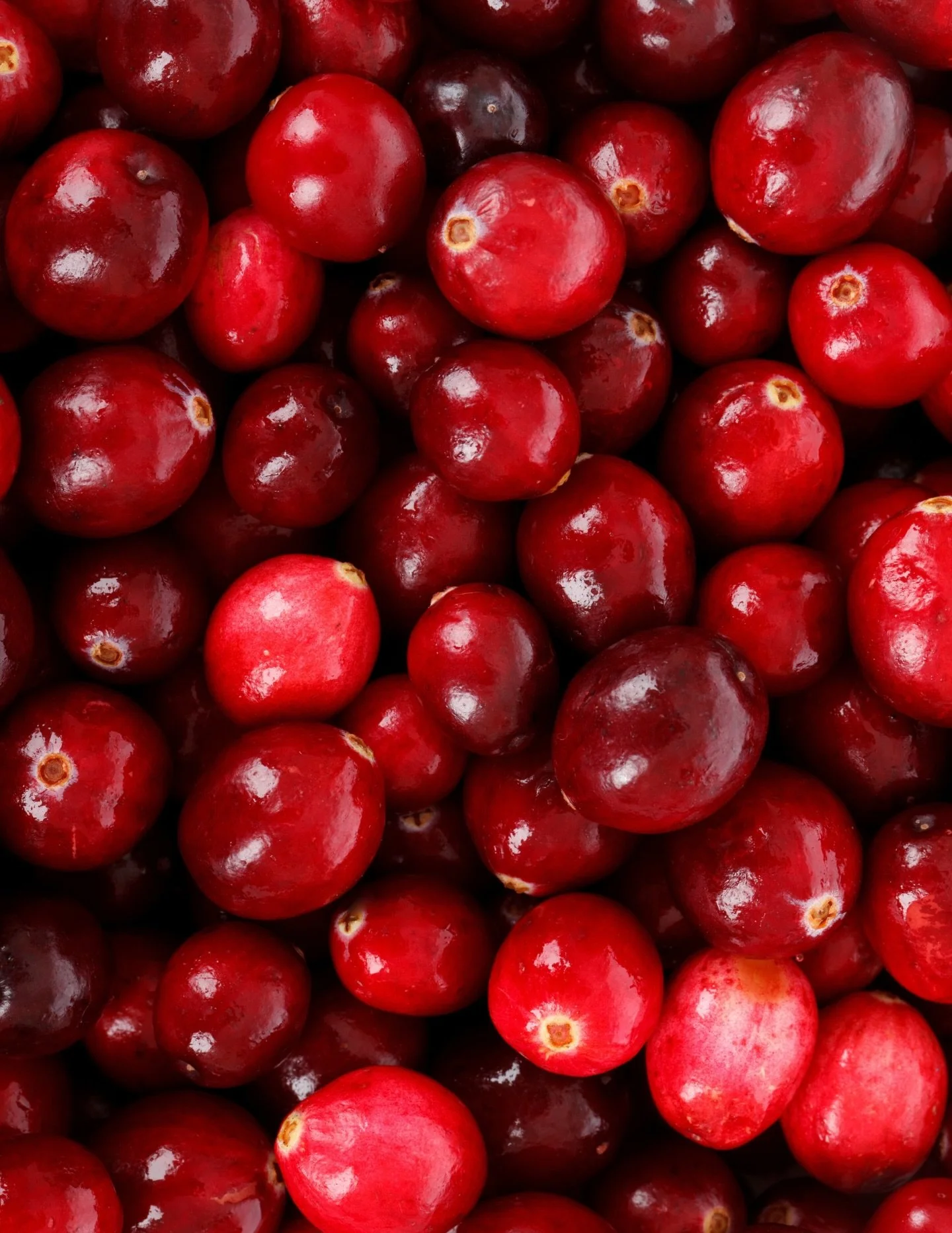 All kinds of saving on fresh organic produce this week!

Potatoes, Onions, Apples, Avocados and Cranberries! Stop in for excellent prices all week!

#organic #produce