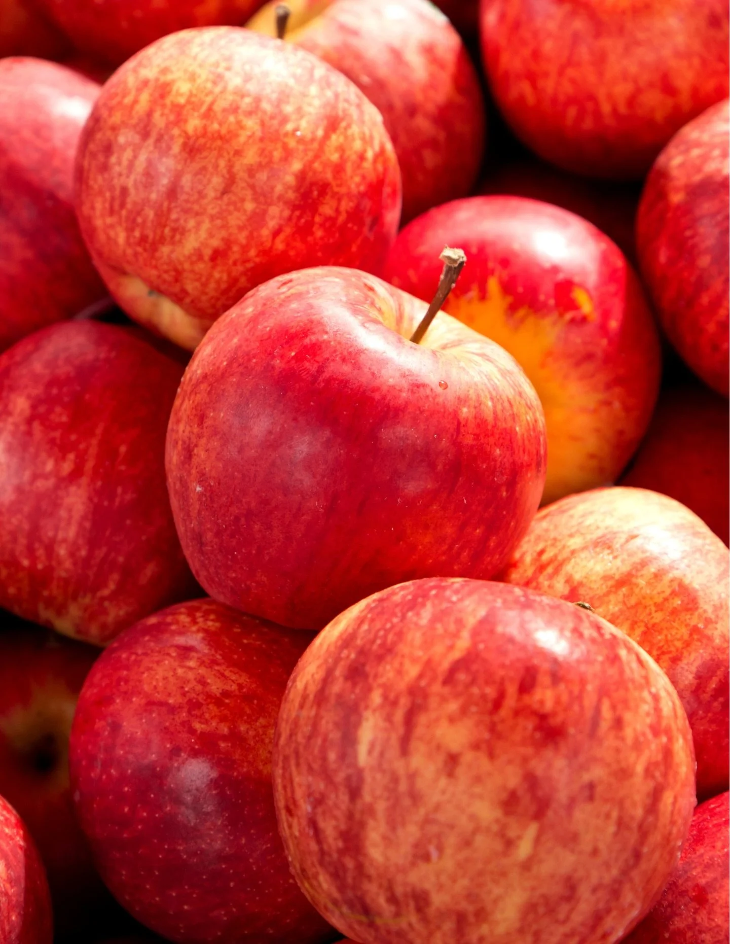 🫐🥑🍎Don&rsquo;t miss our produce deals this week with blueberries, avocados and gala apples at great prices!

#organic #producespecials