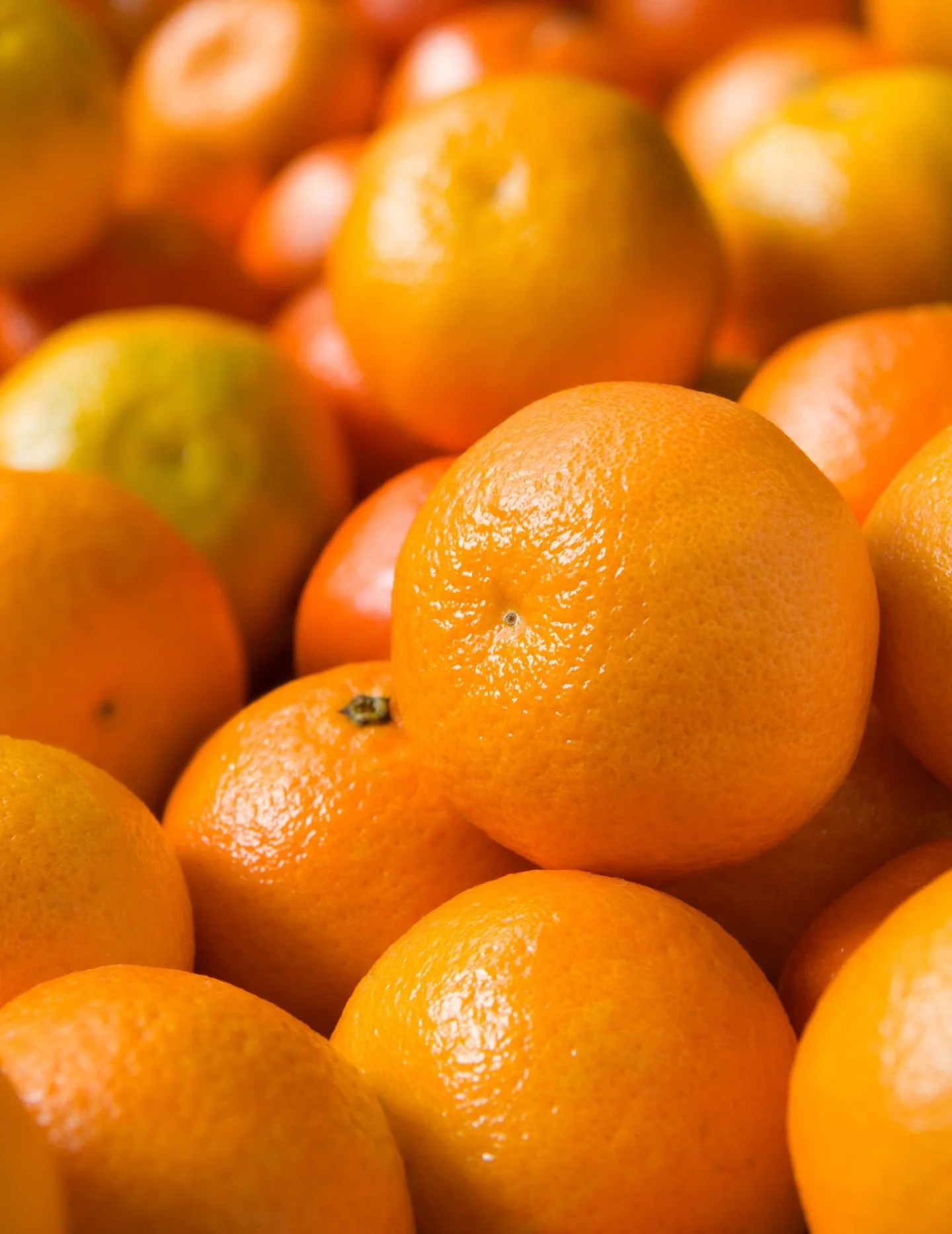 🍊Our clementines on sale this week are so good! We also have deals on blueberries, avocados and fuji apples! Stop in and save!🫐🥑🍎

#organic #producedeals