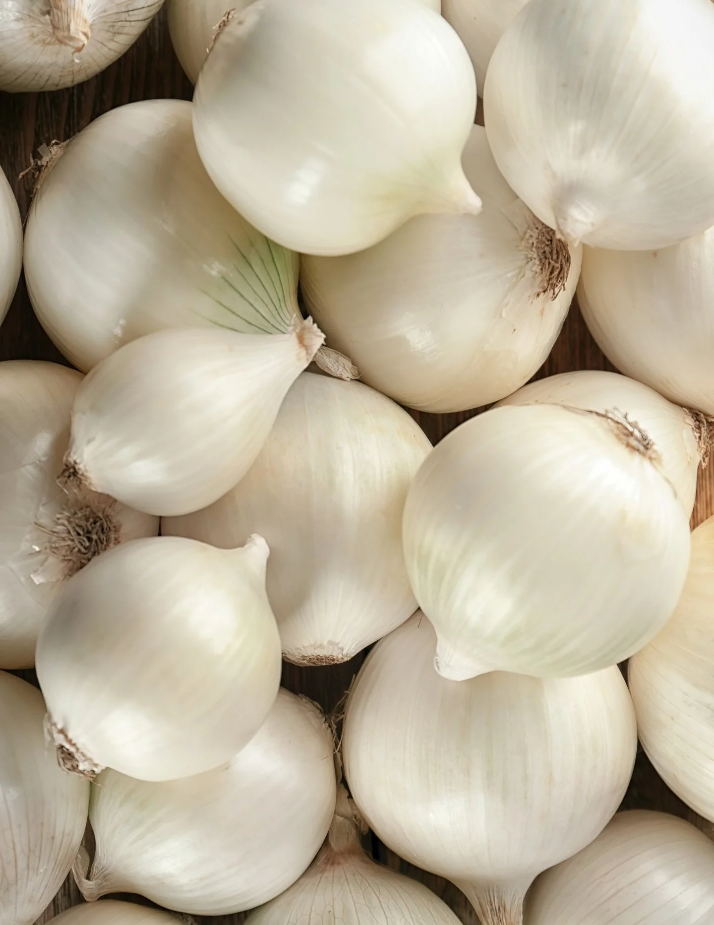 Start the year with great deals on fresh organic produce from Rainbow Blossom! 

#organic #producesales