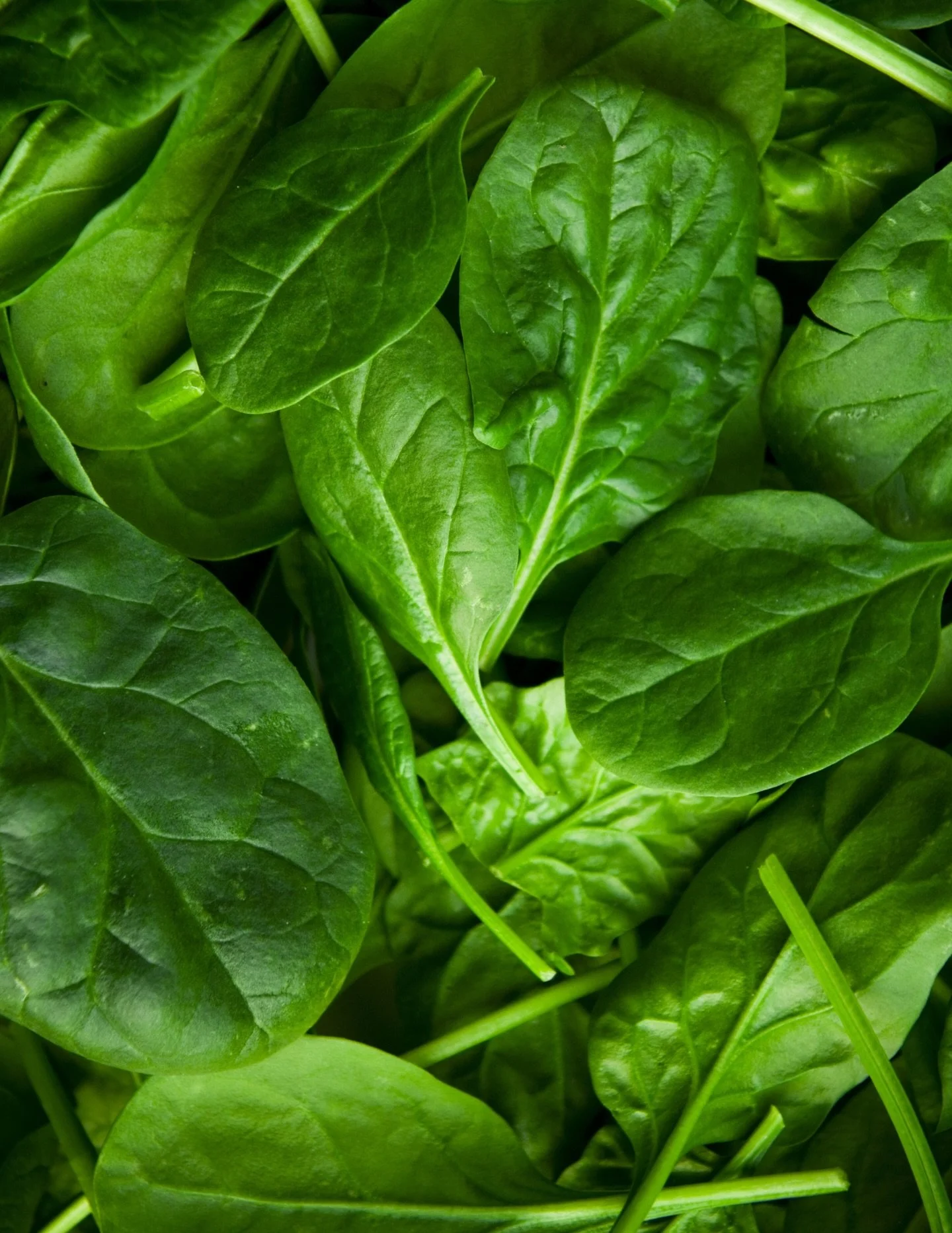 Excellent produce deals this week with Organic Girl Baby Spinach and Big Butter Lettuce. Also Strawberries, Avocados, Cauliflower, and Gala Apples!

#organic #producespecials