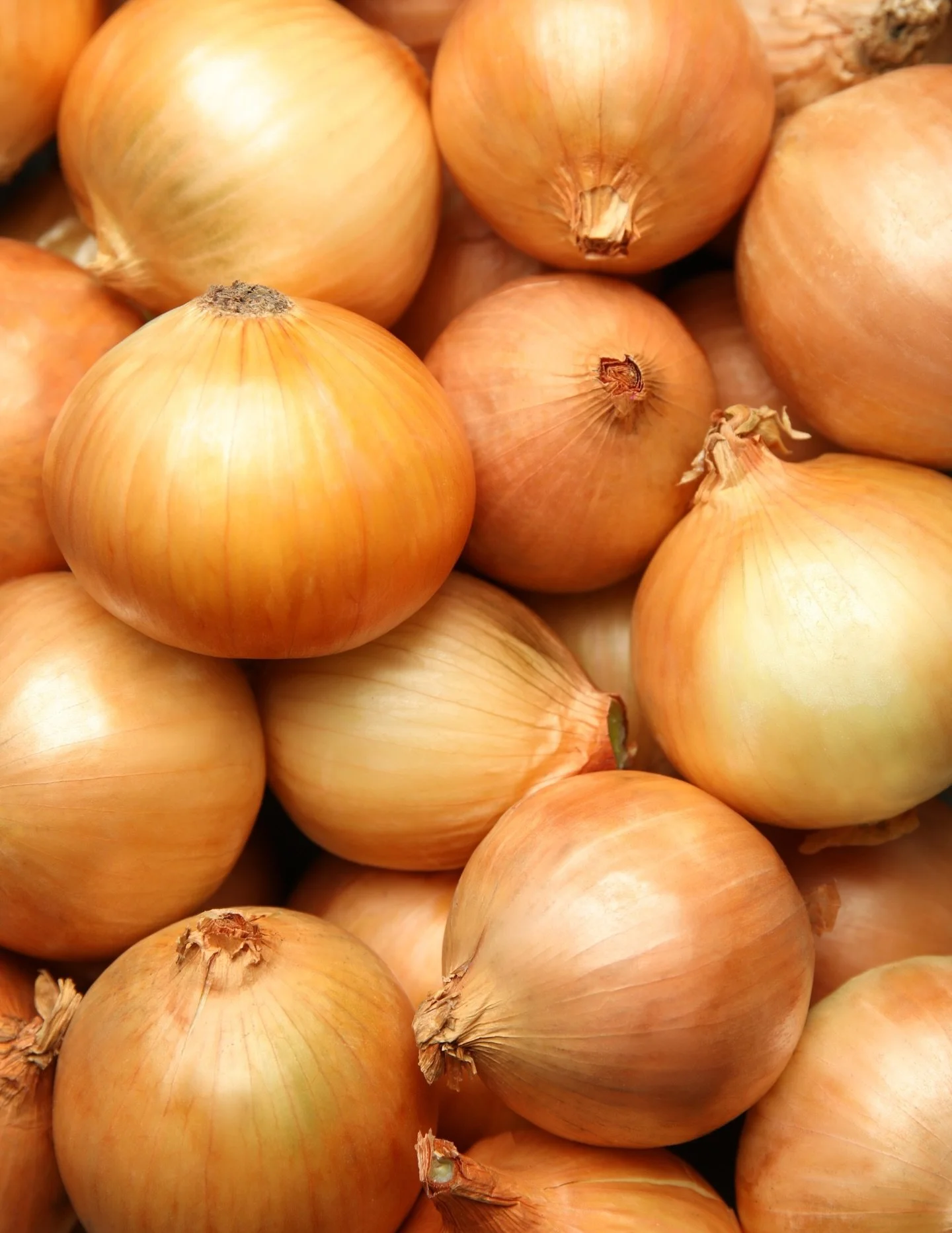 It&rsquo;s French onion soup weather! 🧅

Produce specials this week include yellow onion bags, tomatoes, cucumbers and fuji apples. Stop by and stock up!

#organic #producespecials
