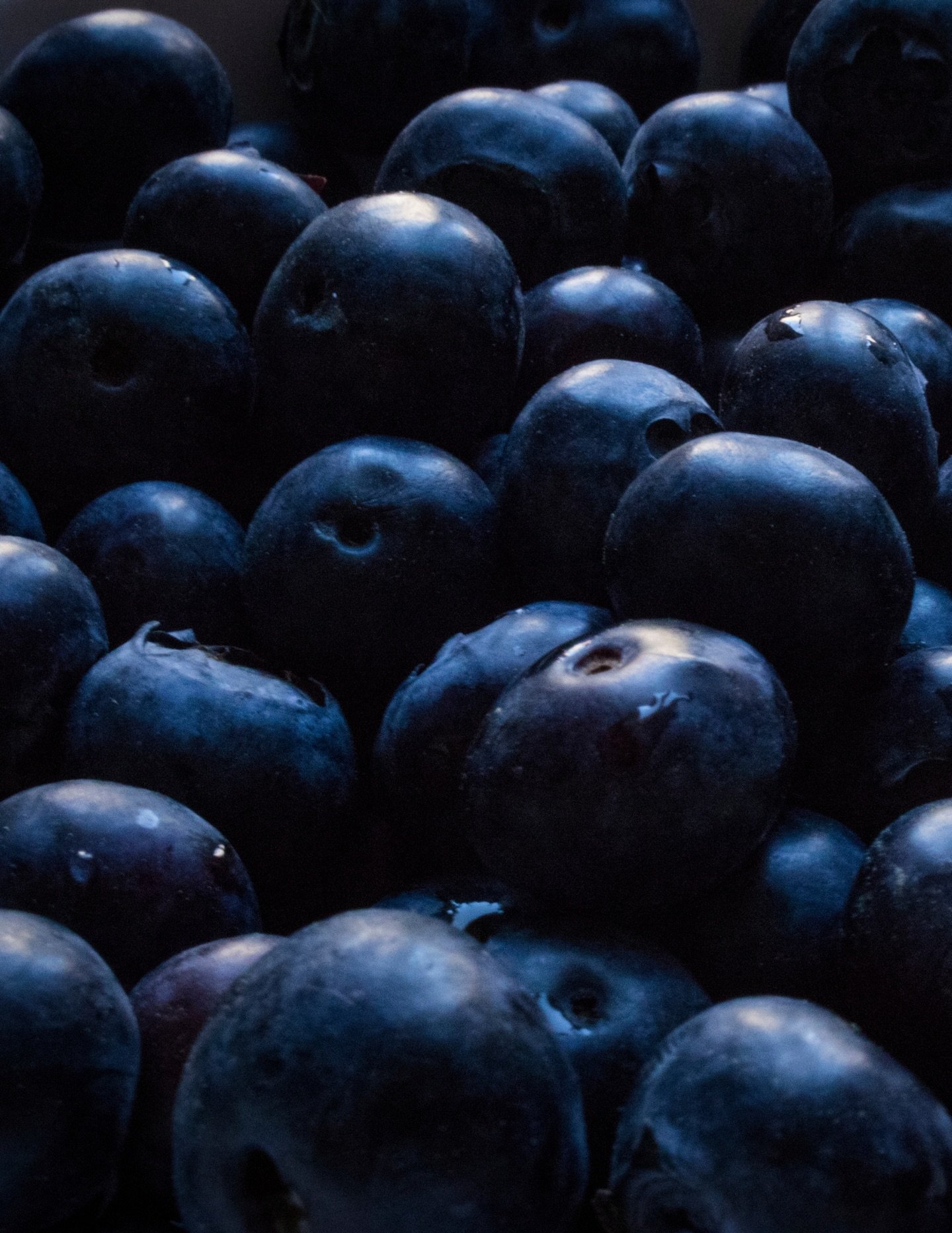 🫐Blueberry special this week🫐

Also Avocados, Zucchini, Yellow Onions and Gala Apples. Stop by and see the savings for yourself.