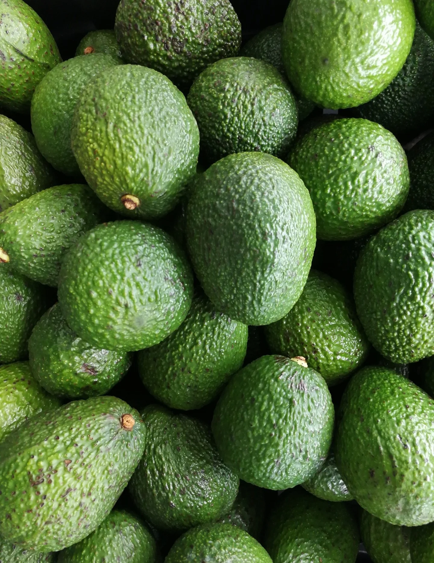 Easy wins for grocery list!

2 for 2 Avocados 🥑Also, slicer tomatoes, baby bella mushrooms, cauliflower and fuji apples are all on special!