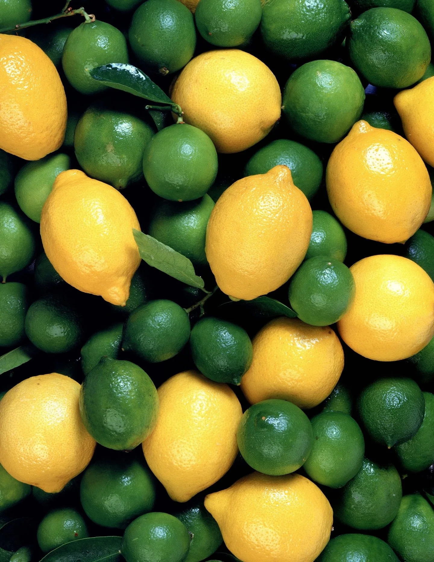 Bring home a burst of citrus! 🍋🍋&zwj;🟩

In addition to our Lemons and Limes, we&rsquo;ve also got deals on Strawberries, Raspberries, Tomatoes, and Pink Lady Apples!

#freshproduce #organic