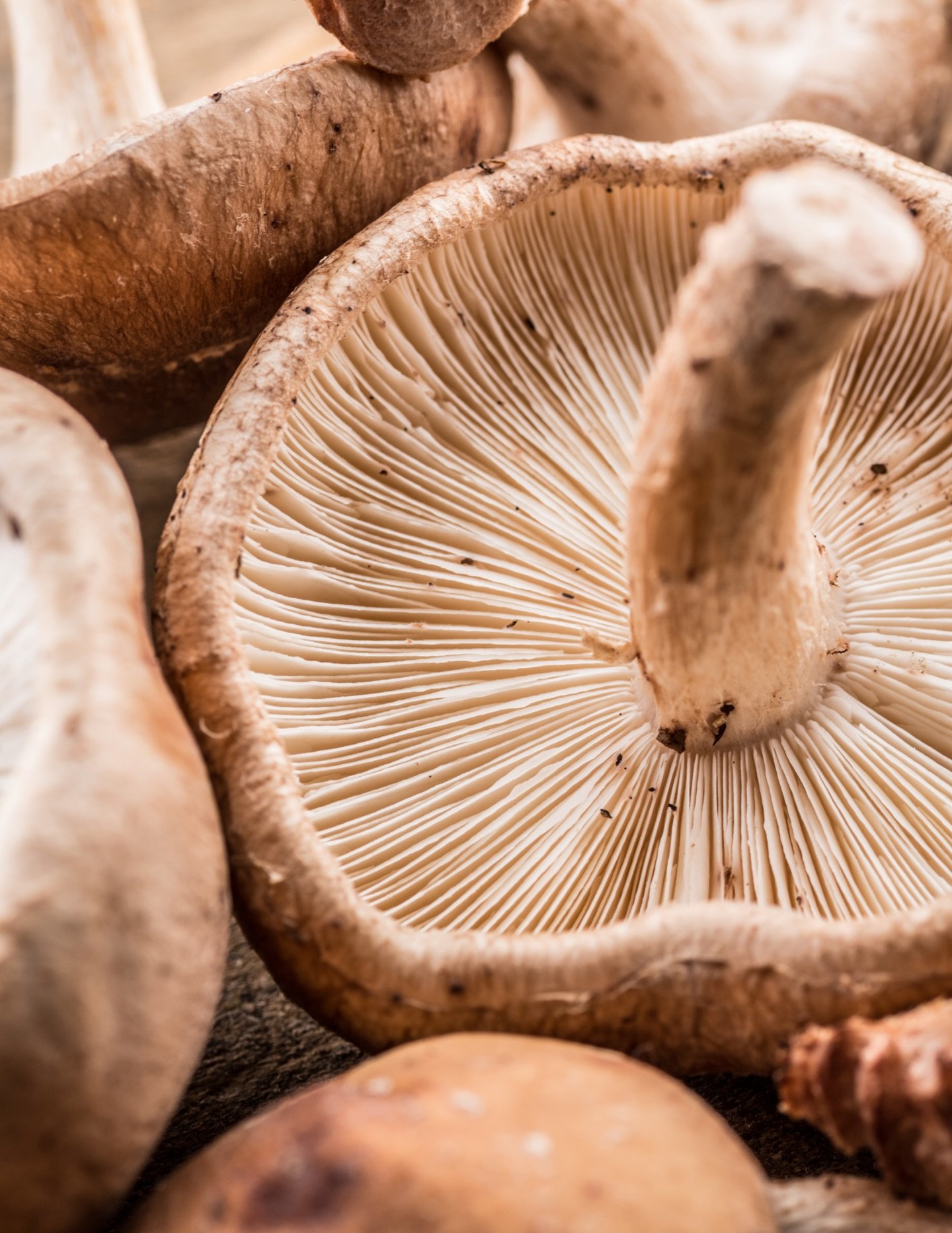 Earthy flavor, down-to-earth prices🍄&zwj;🟫

We&rsquo;ve got specials on mushrooms, onions, green peppers and Fuji apples!

#organic #produce