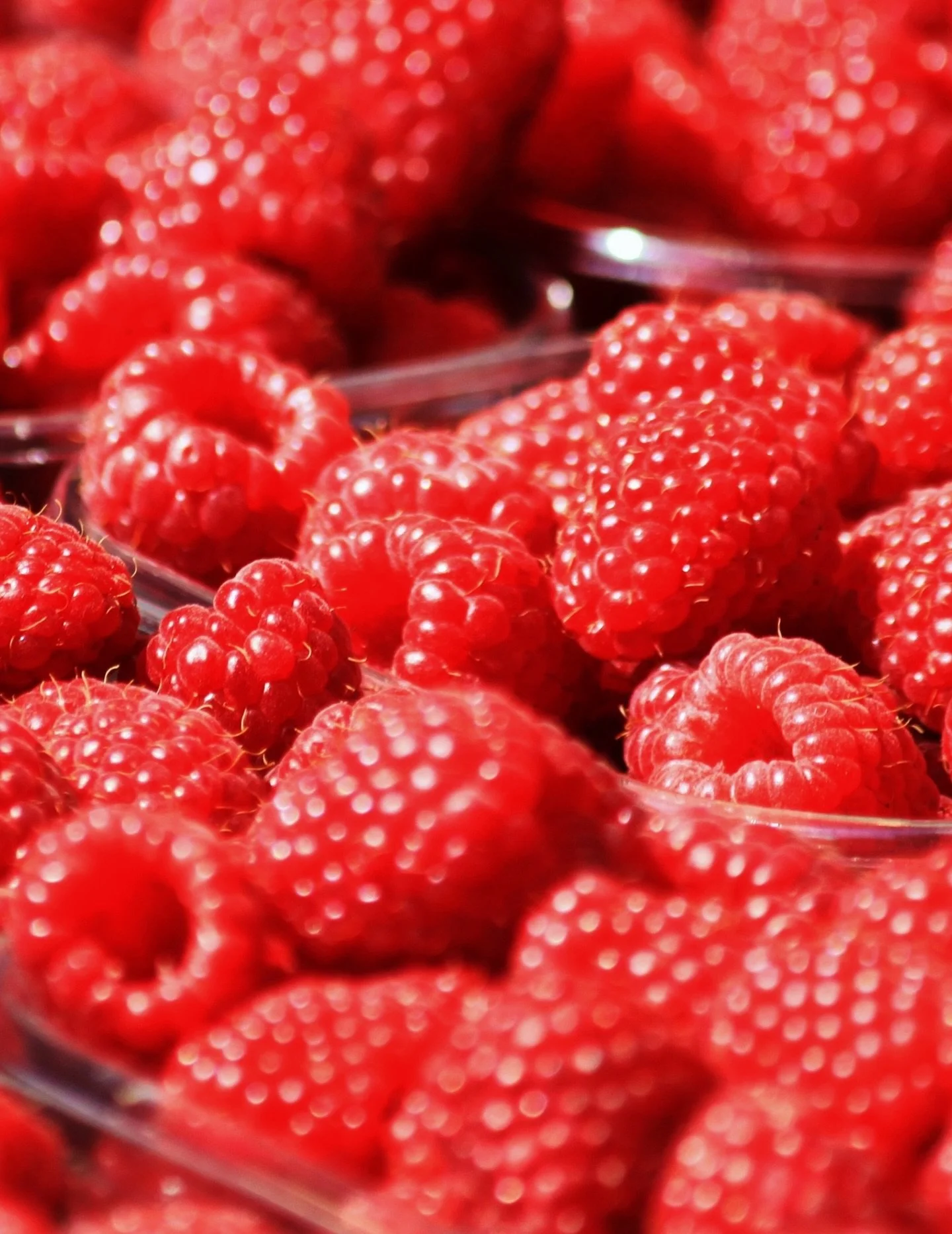 We&rsquo;ve got fresh raspberries on special! 

Also pears, mangos, sweet potatoes and fuji apples. Stop by for these fresh picks and save!

#organic #freshproduce