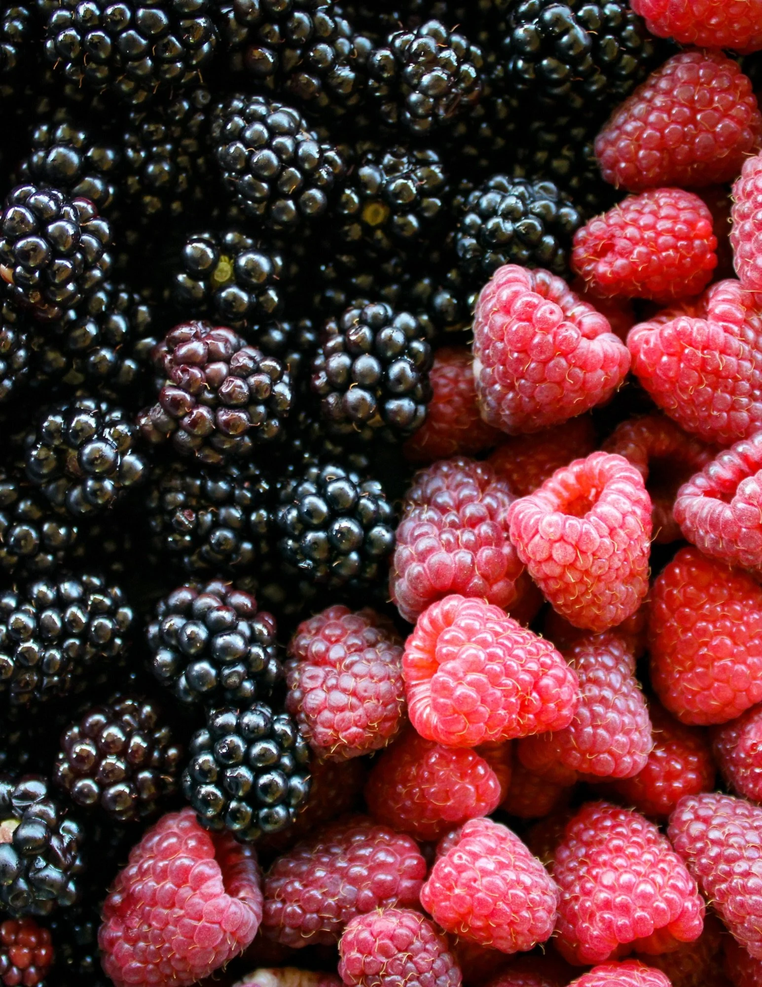 Berry good news: your favorites are on special!

Up to $2 off Blackberries, Raspberries and Strawberries

Not to mention Romaine Hearts, Brussels Sprouts and Cosmic Crisp Apples at great prices too!

#organic #freshproduce