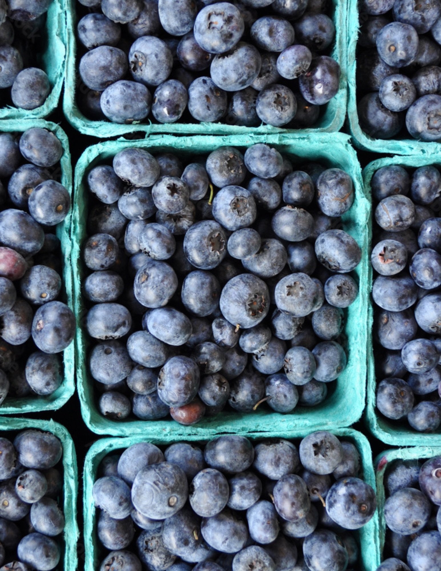 Tiny berries, big flavor! Blueberries are on sale🫐

Also Cabbage, Baby Carrots, Shiitake Mushrooms, and Fuji Apples.

#organic #freshproduce