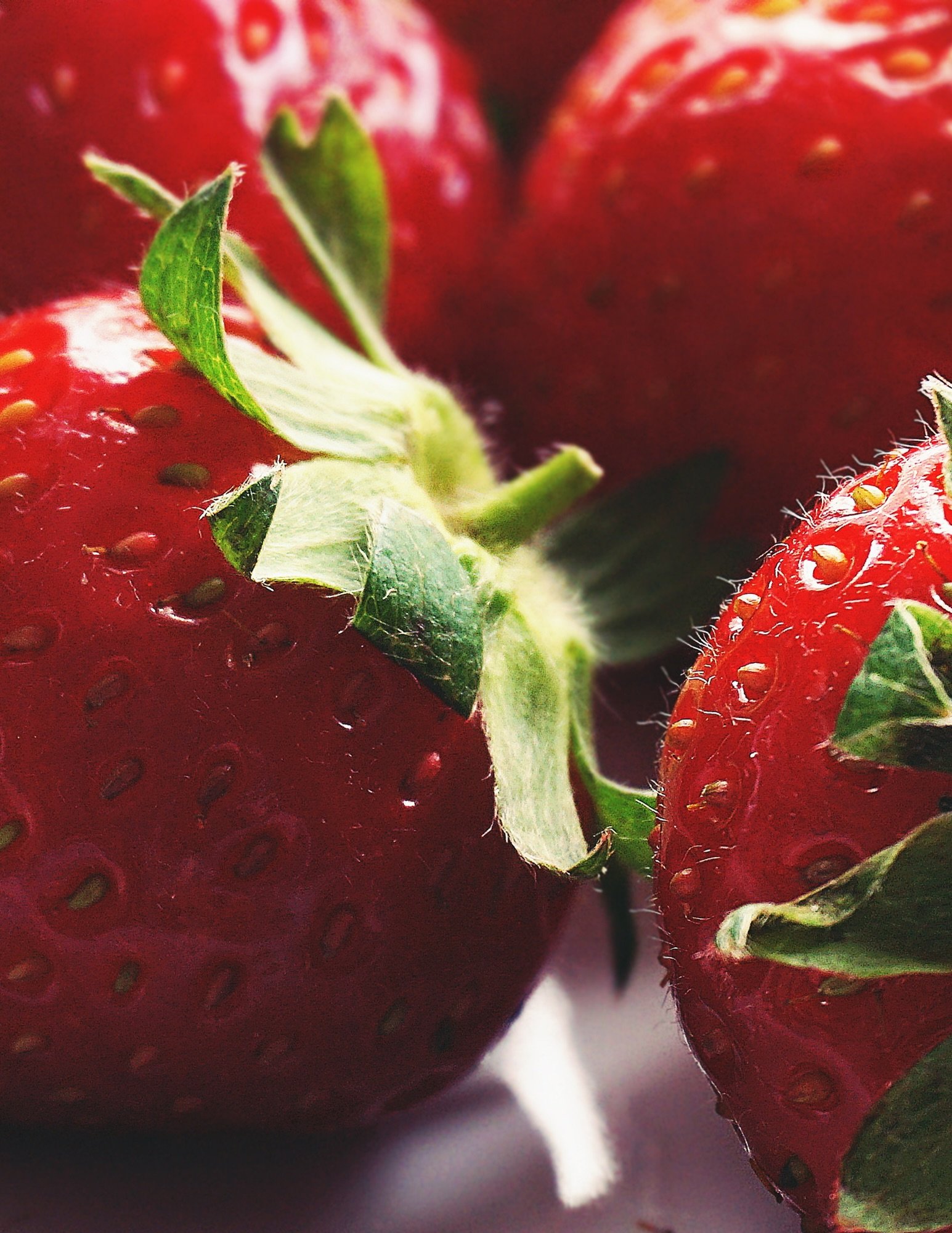 Your trip to Rainbow Blossom just got sweeter🍓

Strawberries are on special! We also have White Mushrooms, Yellow and Sweet Onions, Ambrosia Apples and Baby Carrots on sale!

#organic #freshproduce