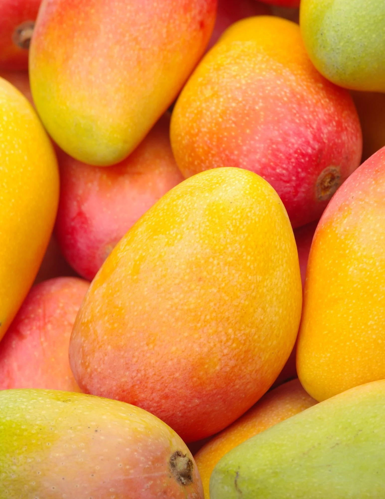 Mangoes have officially entered the chat🥭

We also have special prices on Cucumber, White Onion, Gala Apples and Artichoke! 

#organic #freshproduce