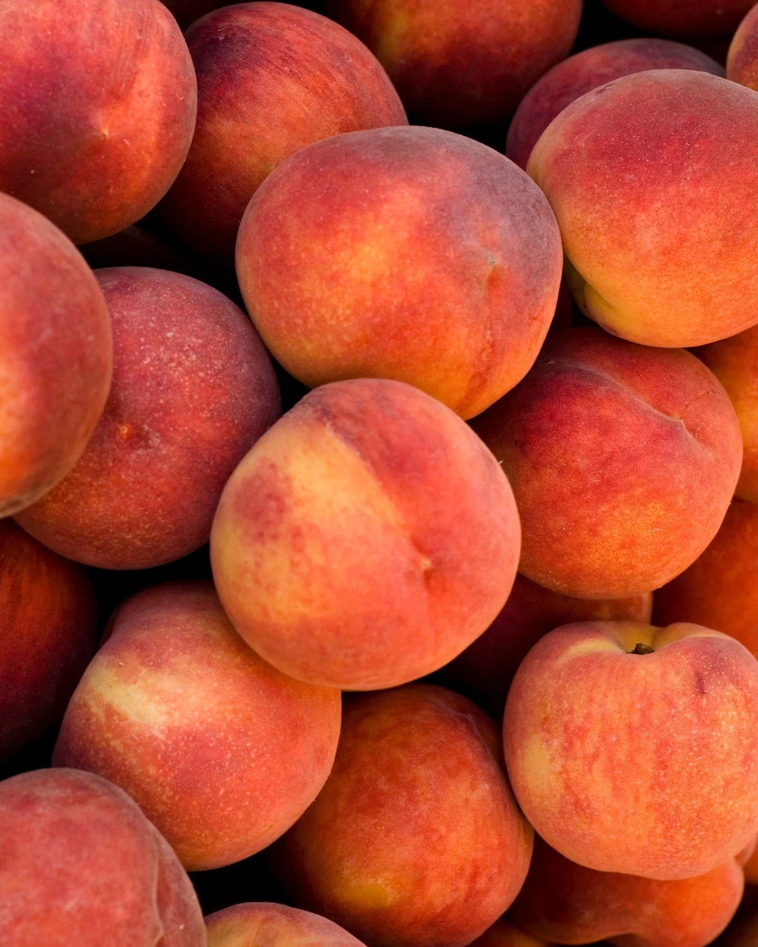 Just peachy over here!🍑

We have Peaches and Nectarines on sale! Also Cherries, Grape and Vine Tomatoes and Ambrosia Apples!