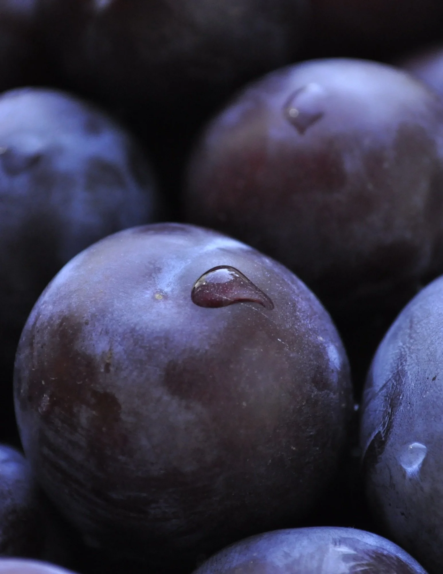Plum perfect for summer snacking 👍

We&rsquo;ve got Plums on sale! Also Blueberries, Baby Bella Mushrooms, Grape Tomatoes and Fuji Apples.