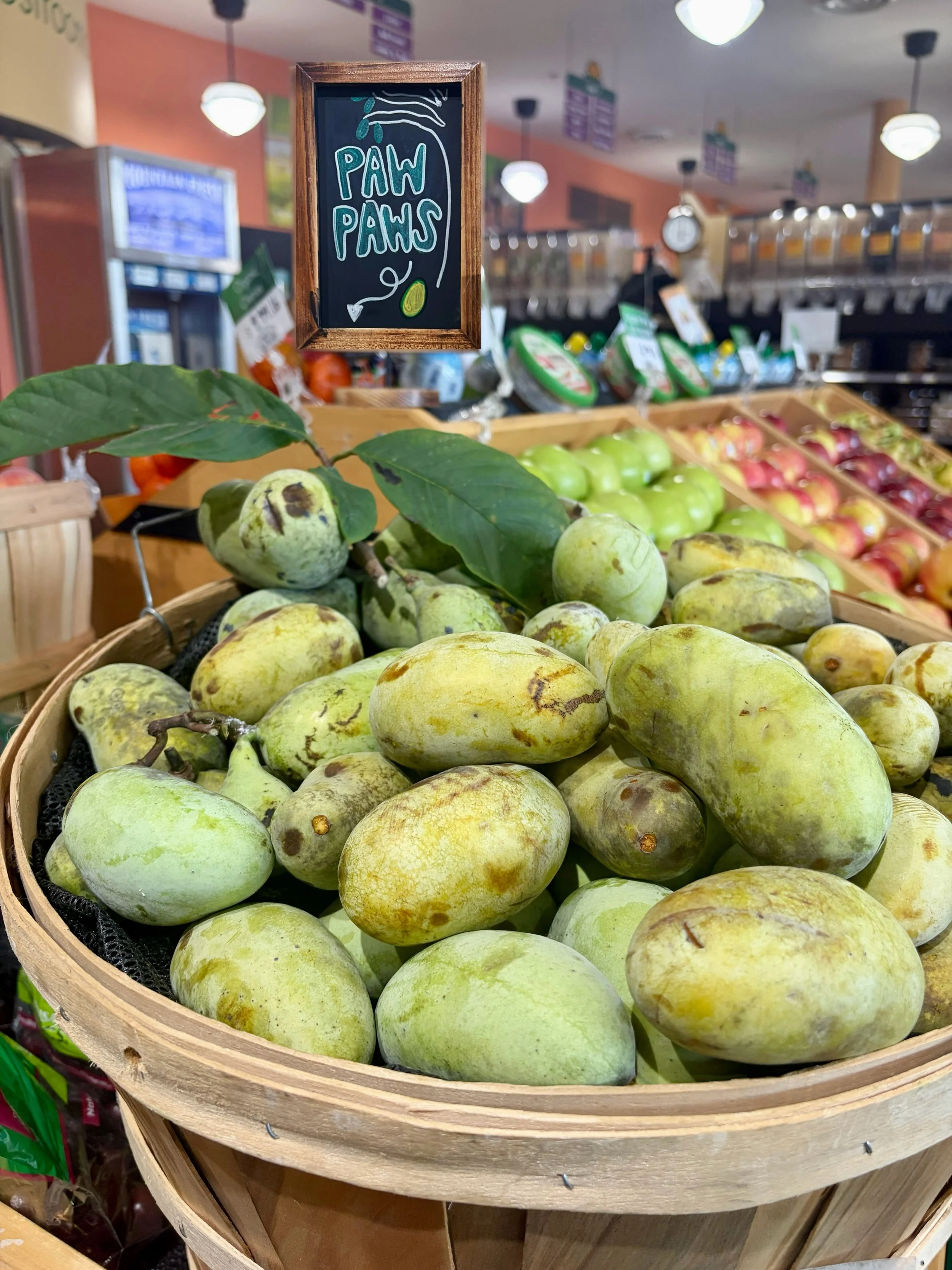 🚨PAW PAW ALERT🚨

The elusive Kentucky fruit has arrived! Sweet, custardy, tropical, and seriously underrated. If you&rsquo;ve never had a paw paw, this is your sign.

Available at our St. Matthews and Highlands locations!