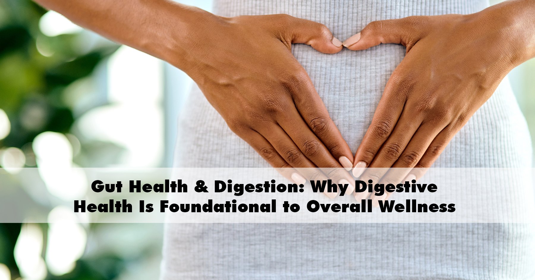 Gut Health & Digestion: Why Digestive Health Is Foundational to Overall Wellness 