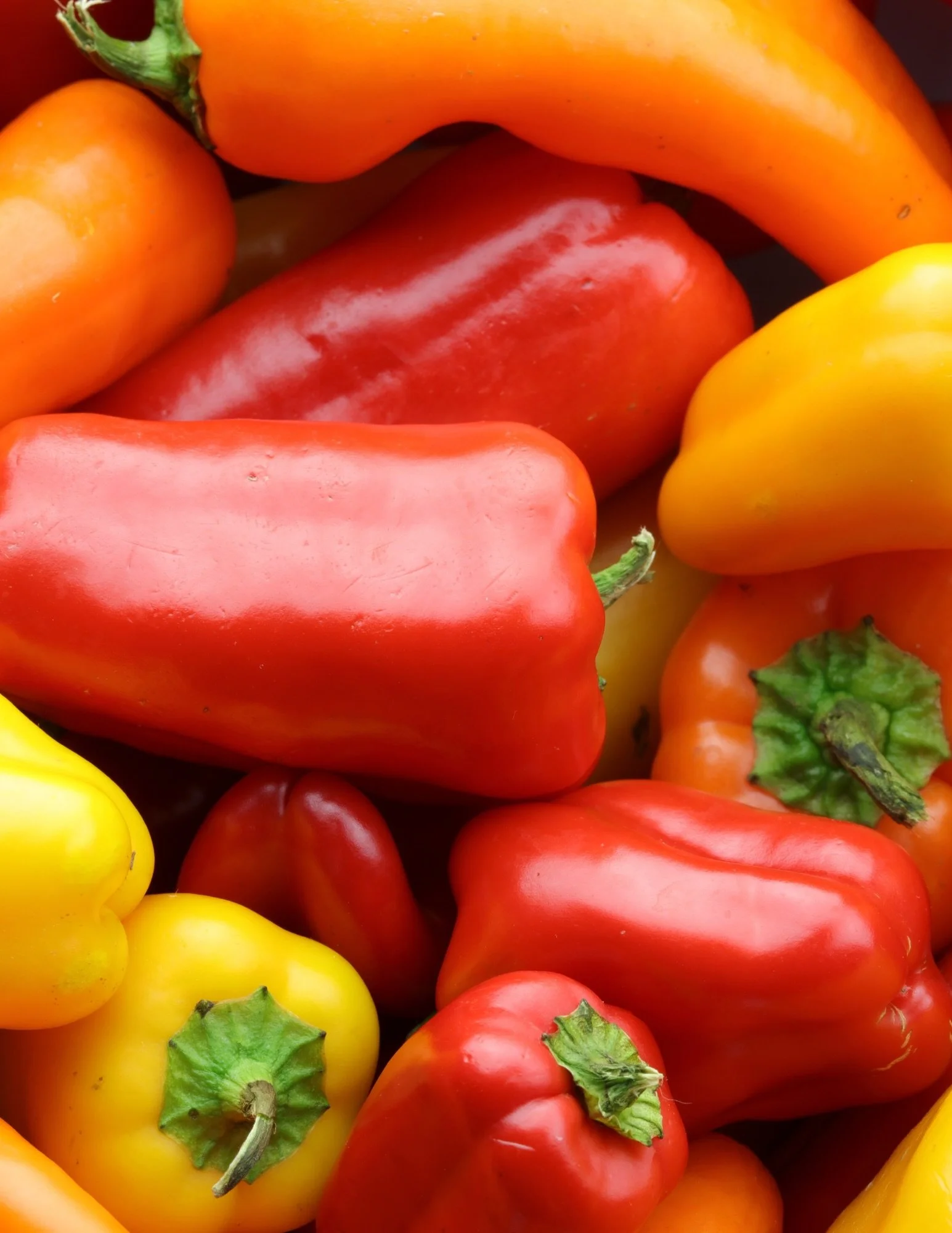 Mini Peppers, big flavor🌶️

We&rsquo;ve got Mini Peppers on sale! Also Baby Carrots, English Cucumbers, Grapes and Envy Apples!