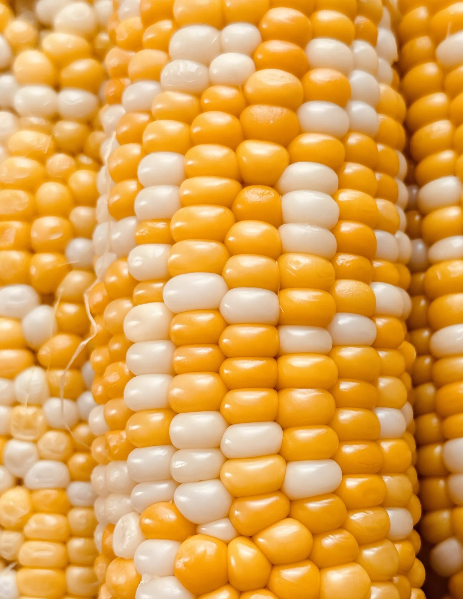 This Bi-Colored corn is ear-resistibly sweet and on sale!🌽

We also have special prices on Cantaloupe, Grape and Vine Tomatoes, Gala Apples and Avocados!

Swing by grab these deals while they last!