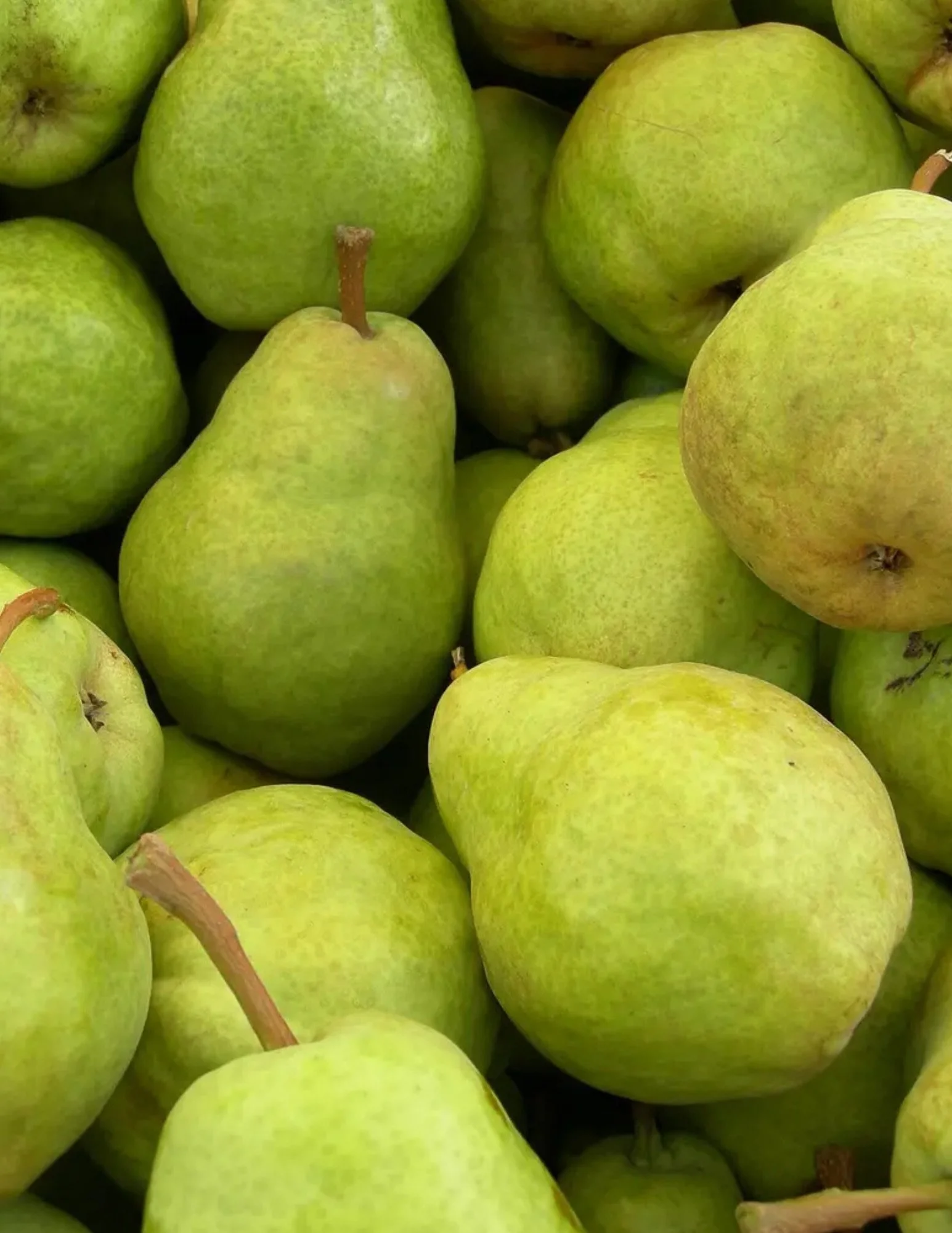Simply Pear-fection 🍐😜

We&rsquo;ve got great specials on Pears, Celery, Grape Tomatoes, Avocados and Gala Apples!