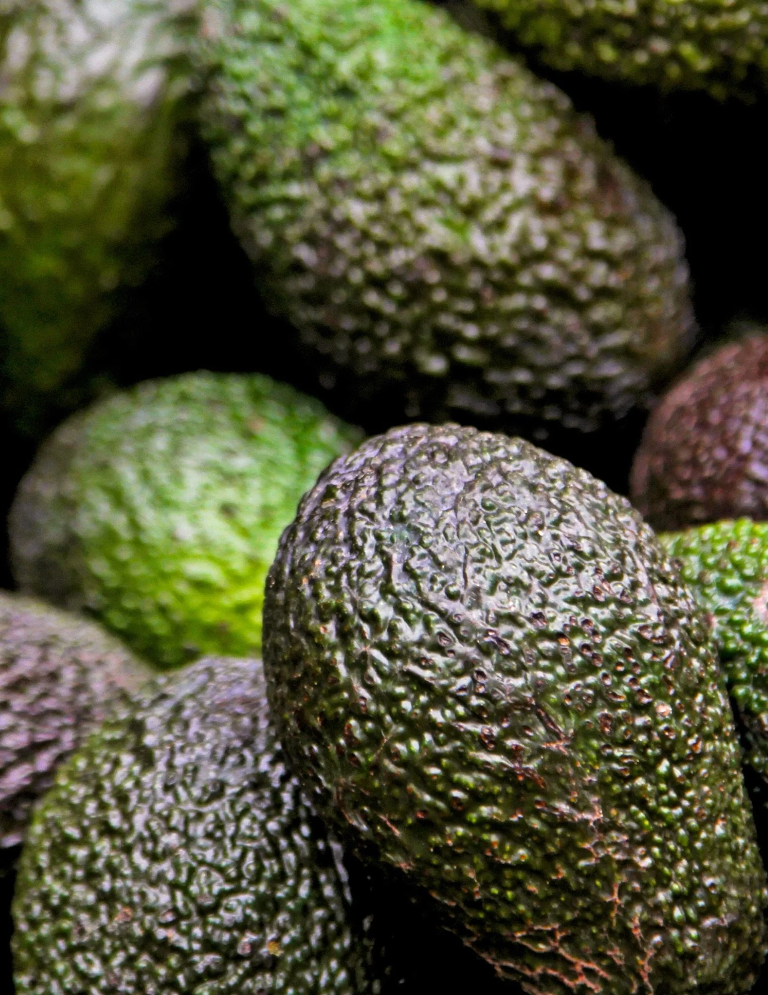 Holy guacamole! Avocados are on sale! 🥑

We also have deals on organic Grape Tomatoes, Bell Peppers and Fuji Apples! Swing by and save!