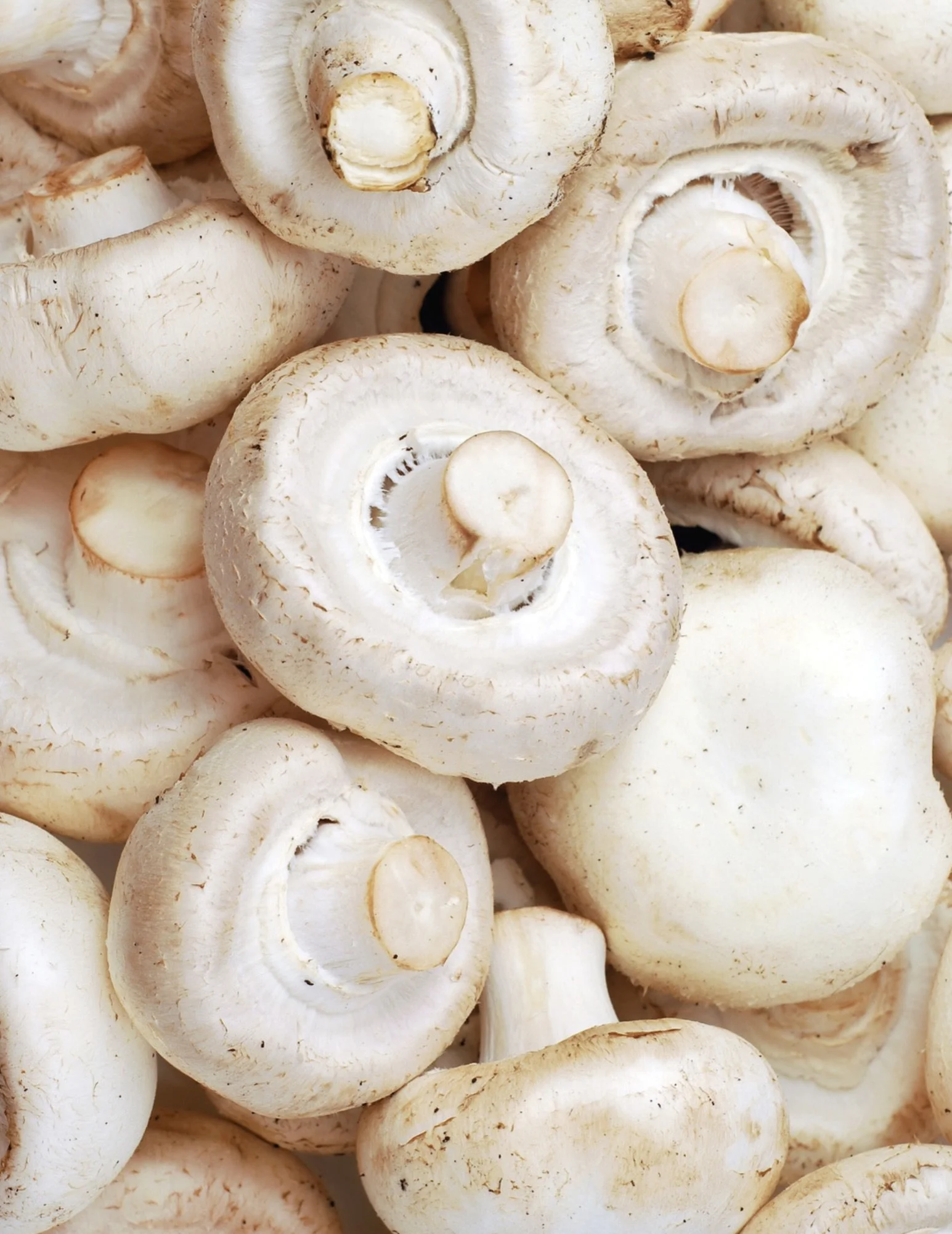 Have a cap-tivating dinner, White Mushrooms are on sale!

Also great deals on White Onions, Slicer Tomatoes, English Cucumbers and Fuji Apples!