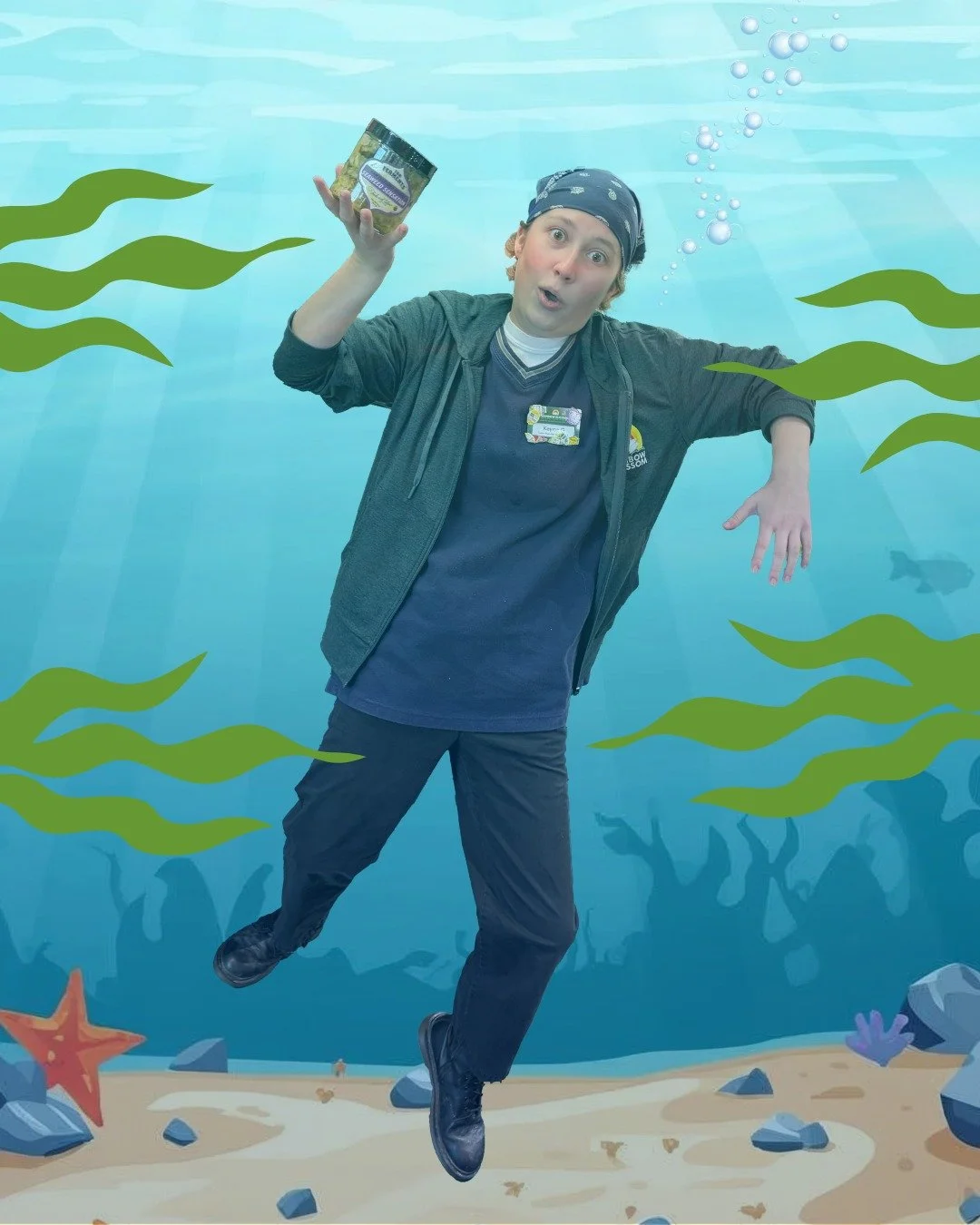 Kayma is diving deep for Seaweed Sensation from @fabferments! 

Fab Ferments has been crafting traditional, small-batch fermented foods since 2008, with everything from crunchy kraut and spicy kimchi to beet kvass and raw kombucha. Their passion for 