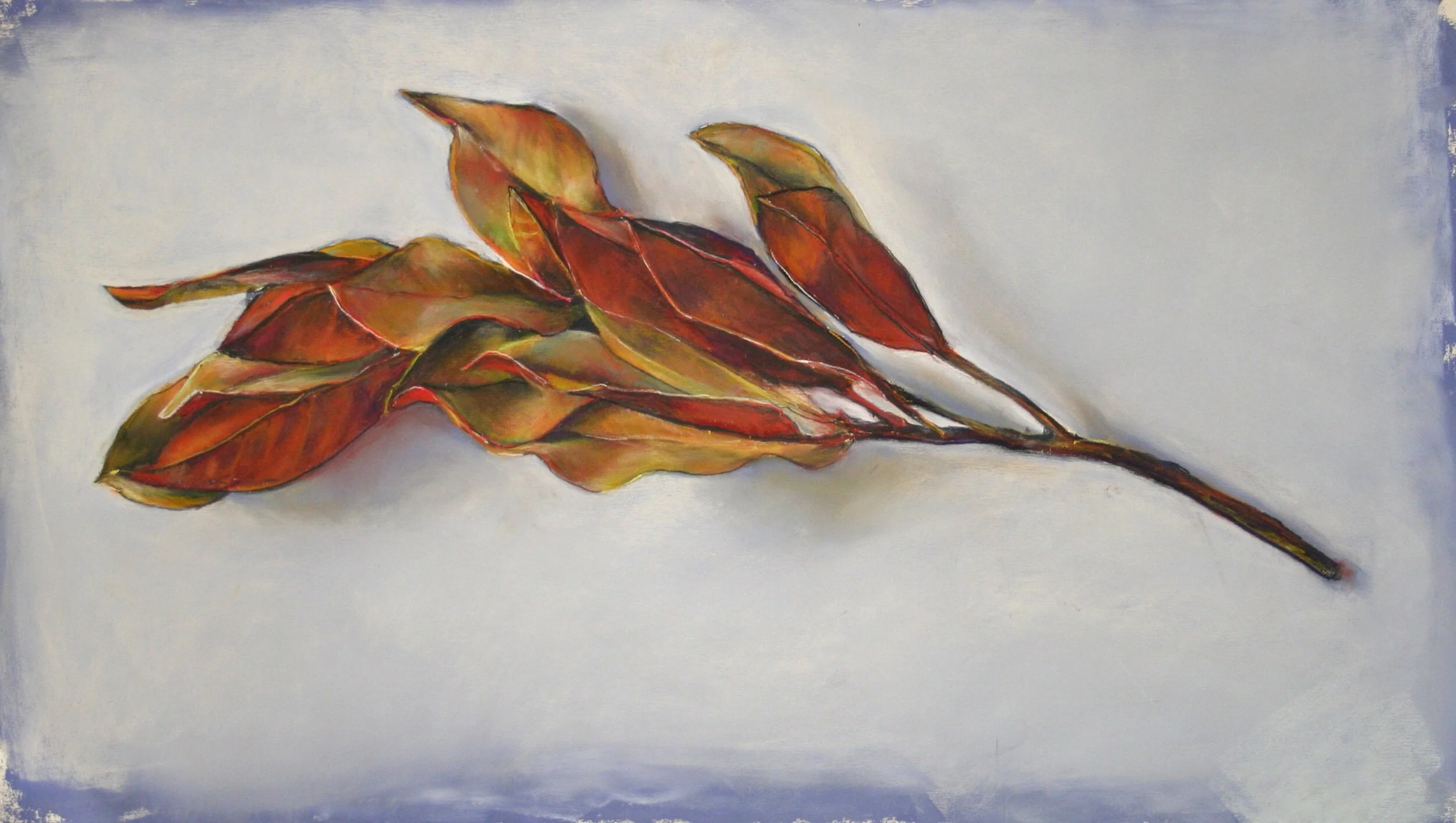 Fall Magnolia, 2017