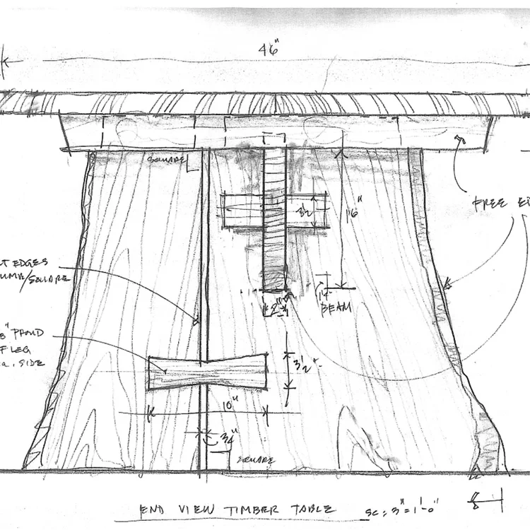 tree_to_table_sketch_1.jpg