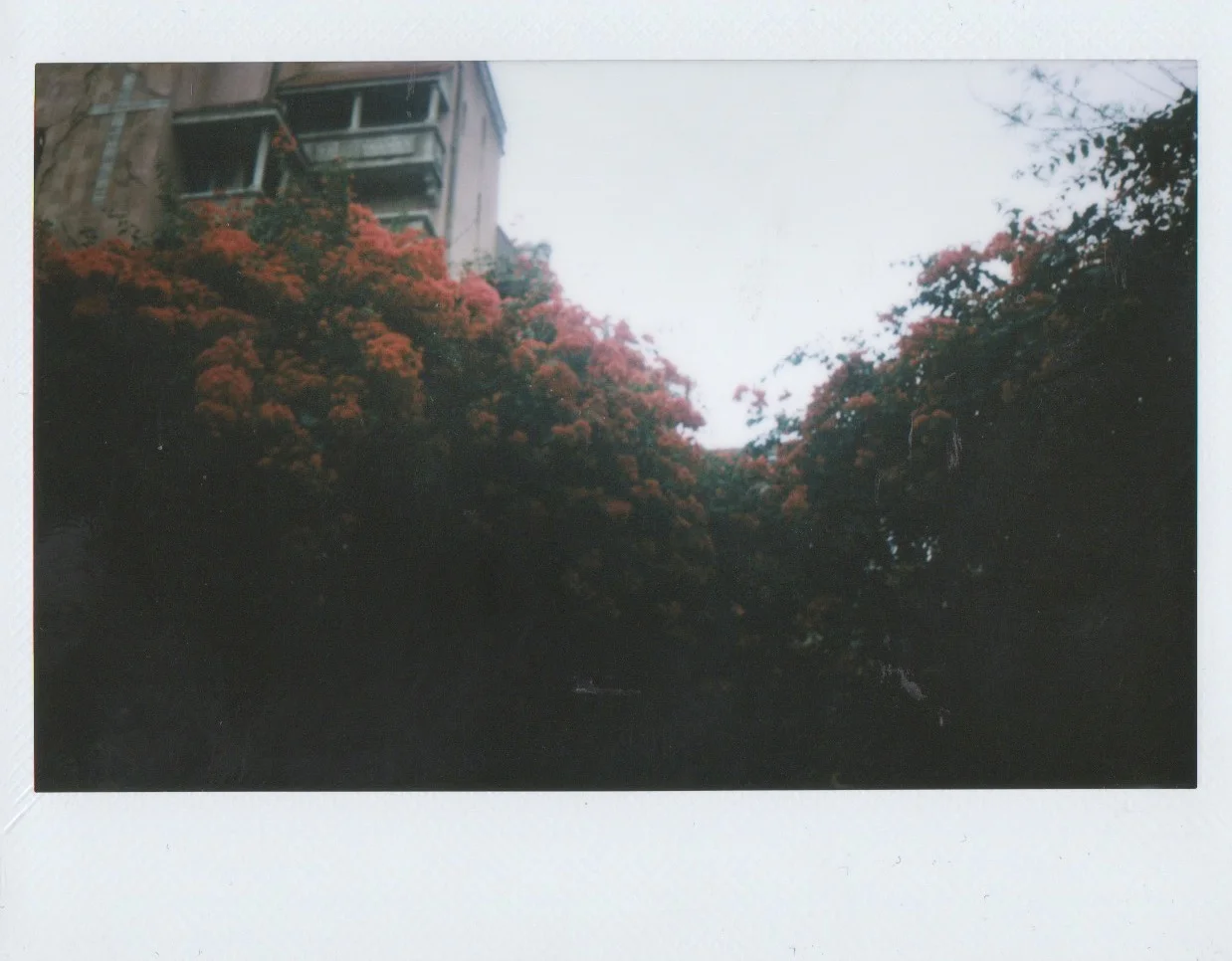Scanned Image 8.jpeg