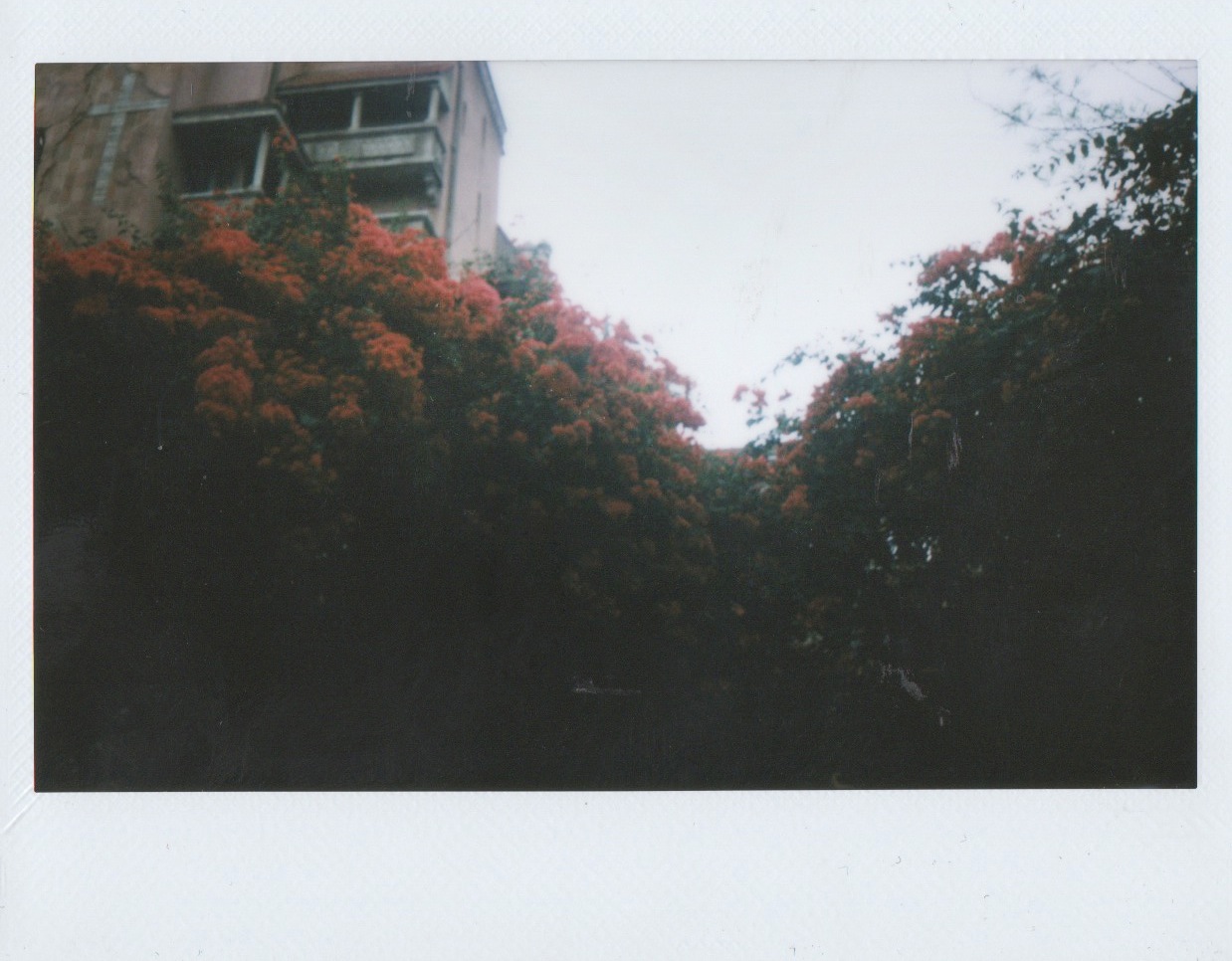 Scanned Image 8.jpeg