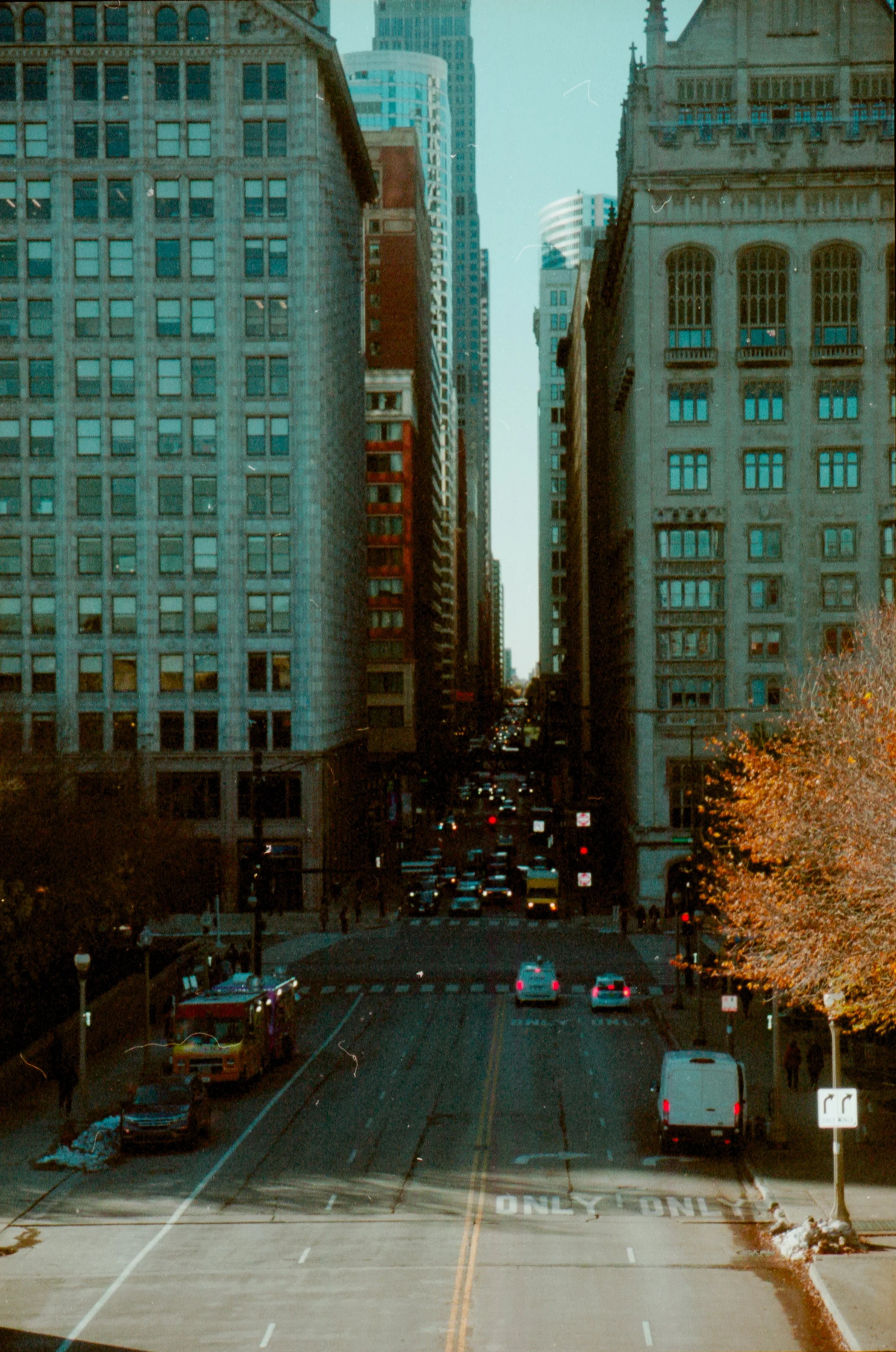 img20251114_16344421 copy.jpg