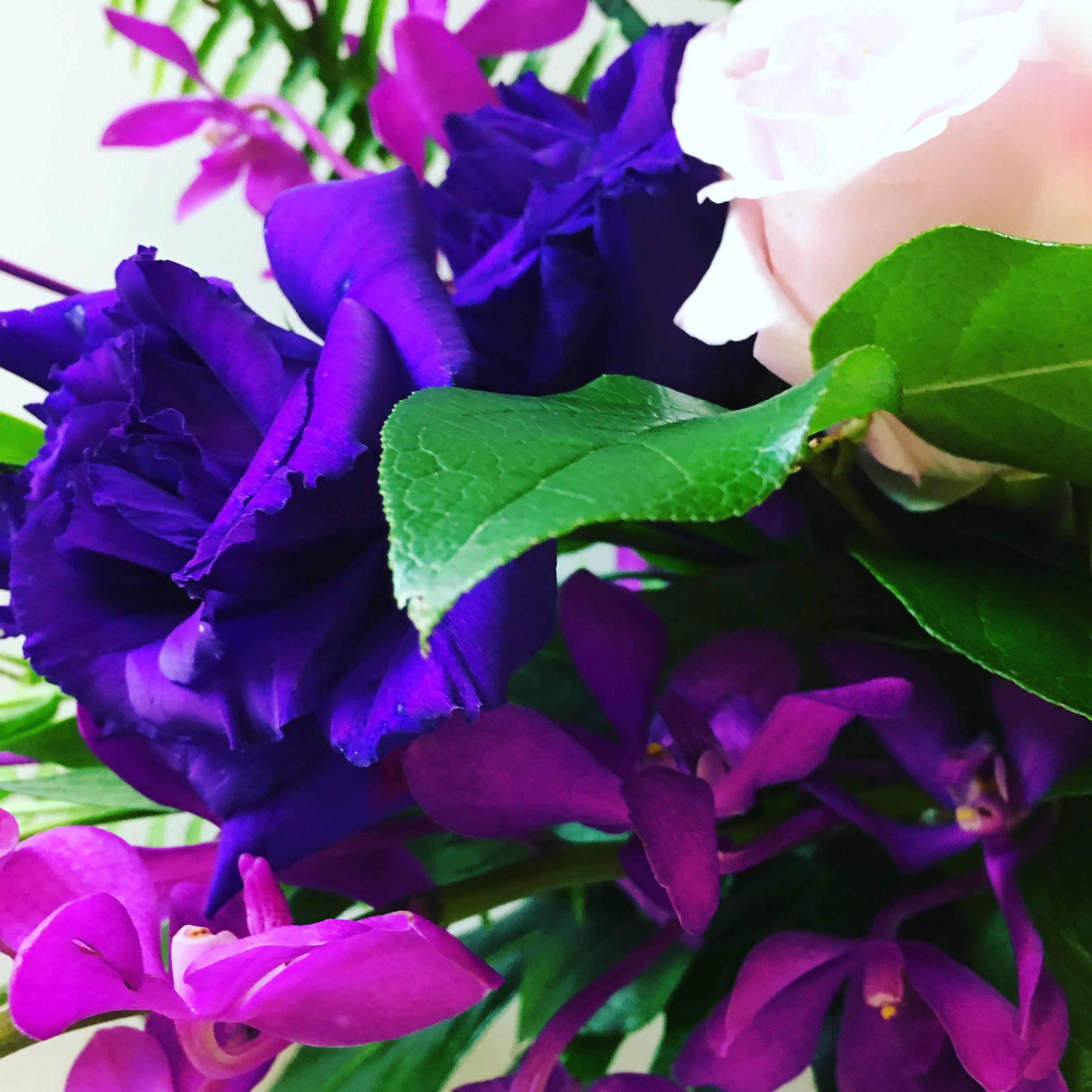 Childhood flowers