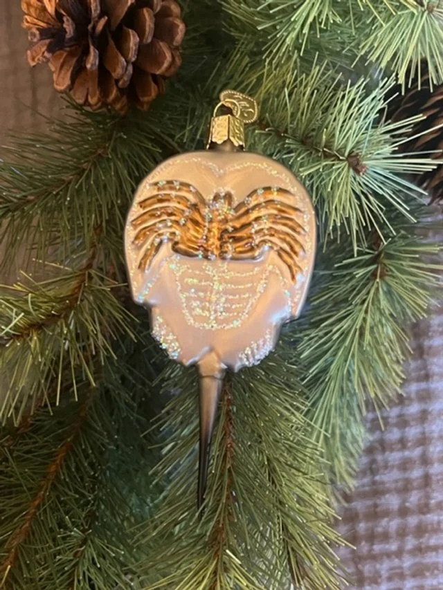 Horseshoe Crab Ornament — The Wellfleet Historical Society and Museum
