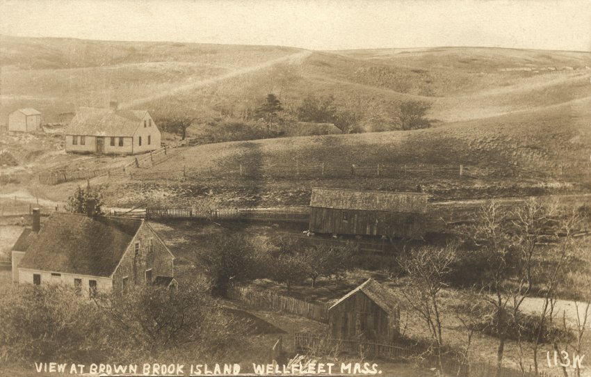 Bound Brook Island Walk