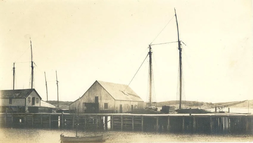 unnamed-3.jpg
