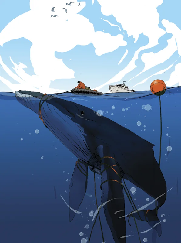 whalerescue_lev.jpg