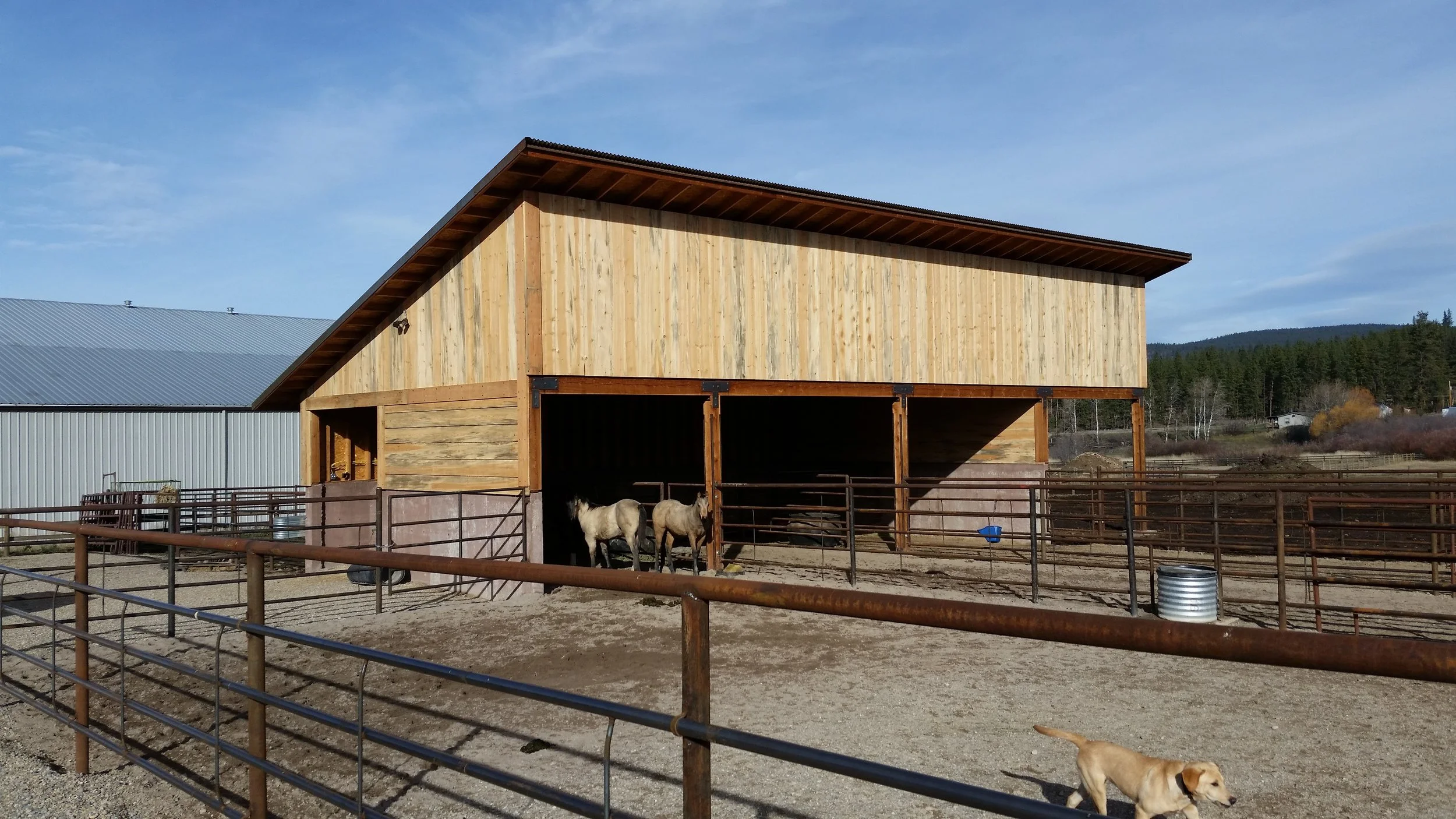 Horse Barn