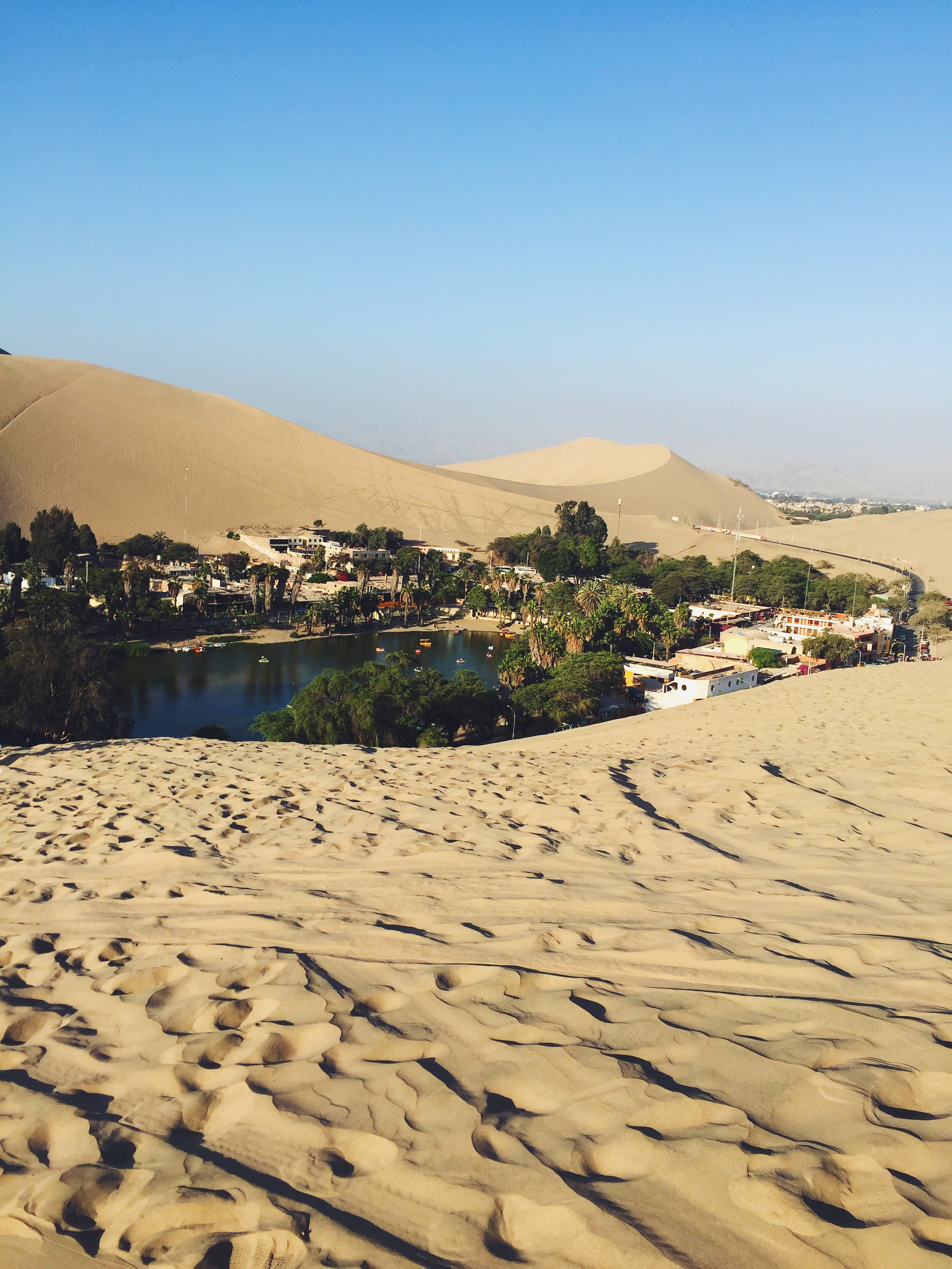 The view of the oasis during the dune buggy ride. 