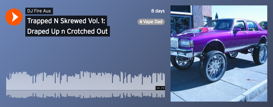 Trapped n Skrewed Vol. 1: Draped Up n Crotched Out 