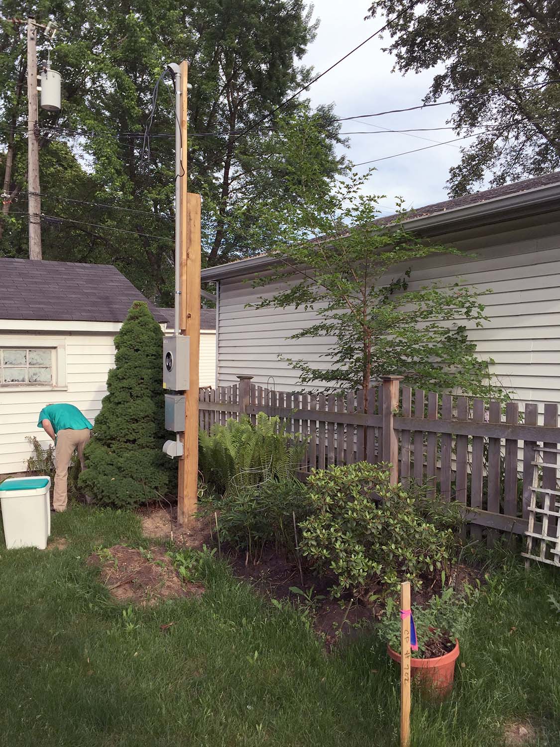 We kept the small conifer behind the pole, and transplanted the rest. The fence was salvaged and is now part of the screened porch.