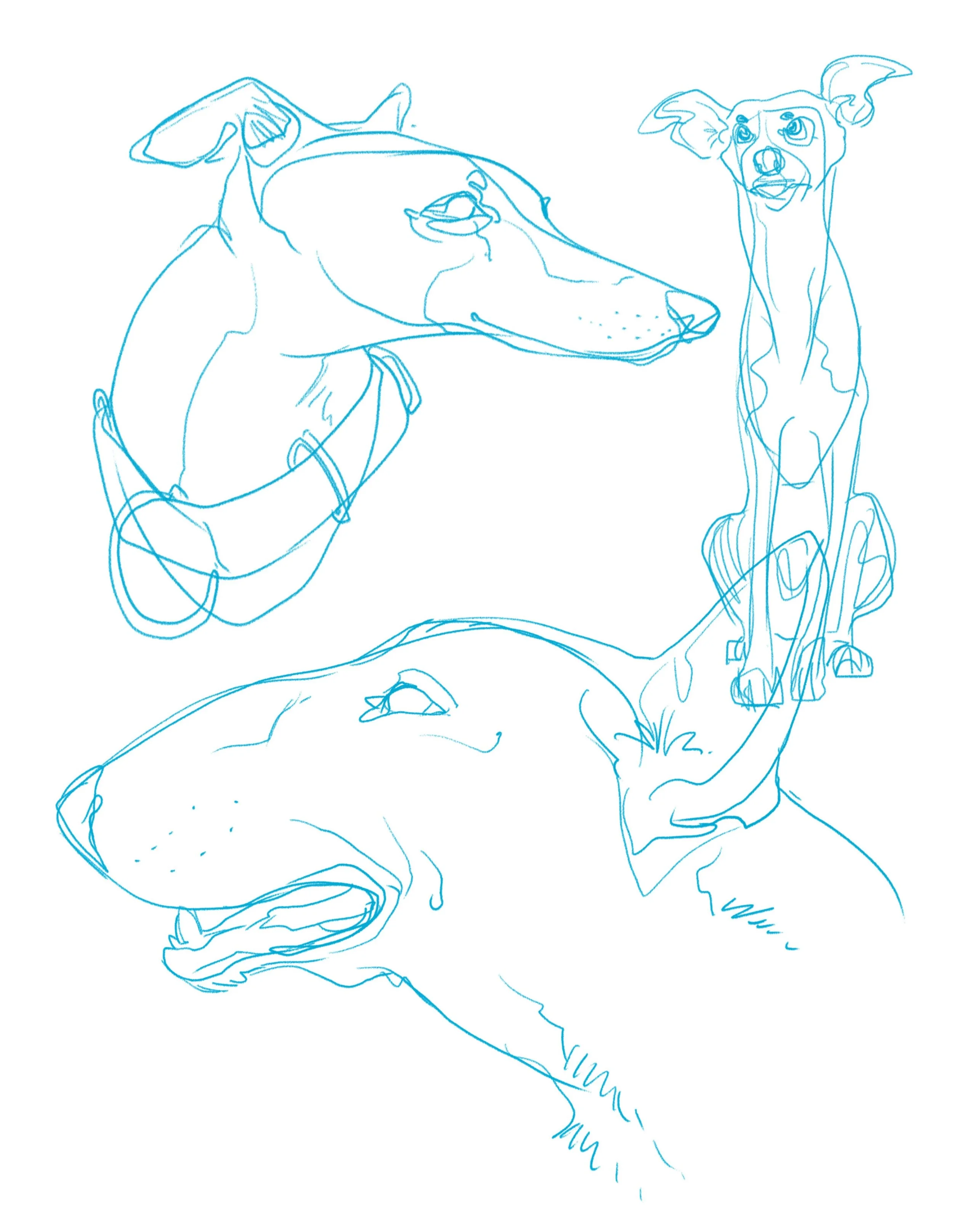 Some good dogs 🐕