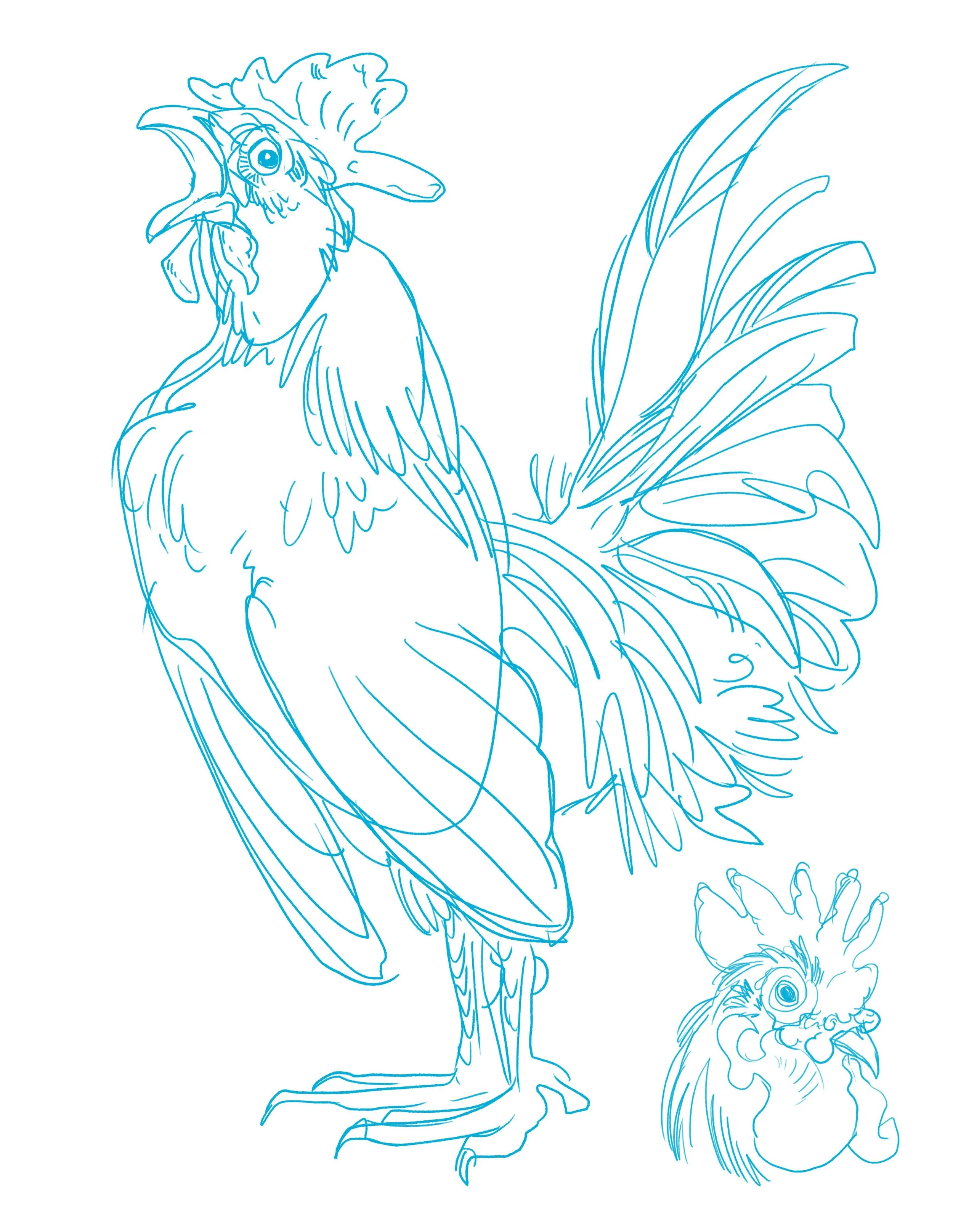 Super quick sketch this morning 🐓