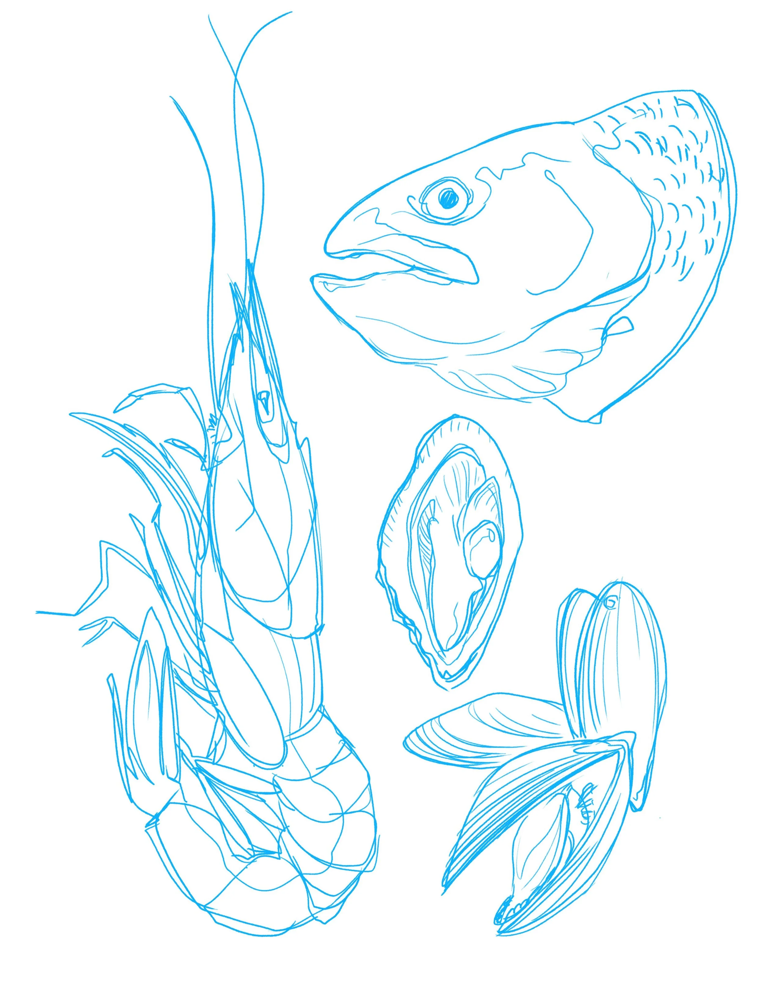 Delicious things 🦐🐟🦪💪