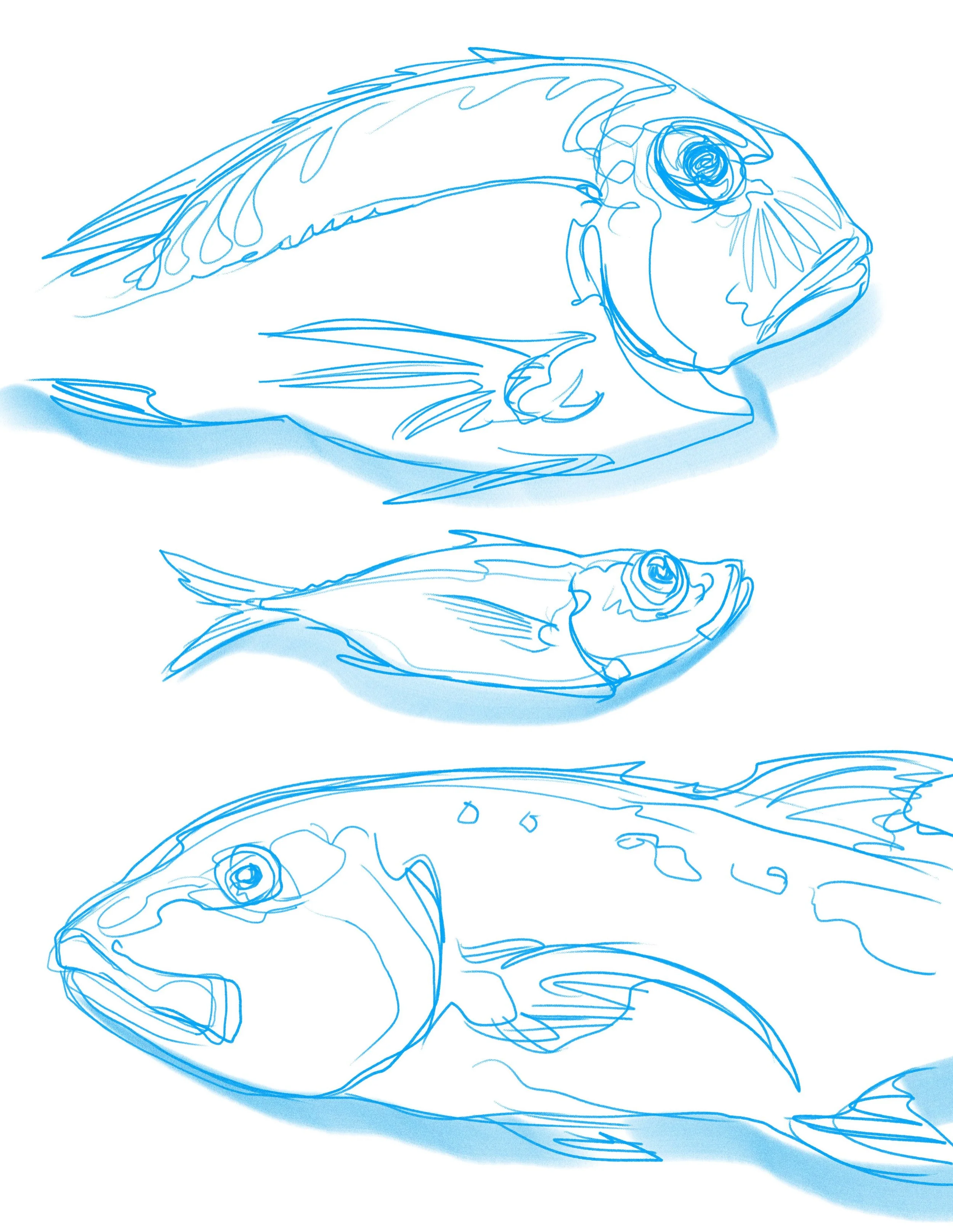 Fishy doodles for today! 🐟