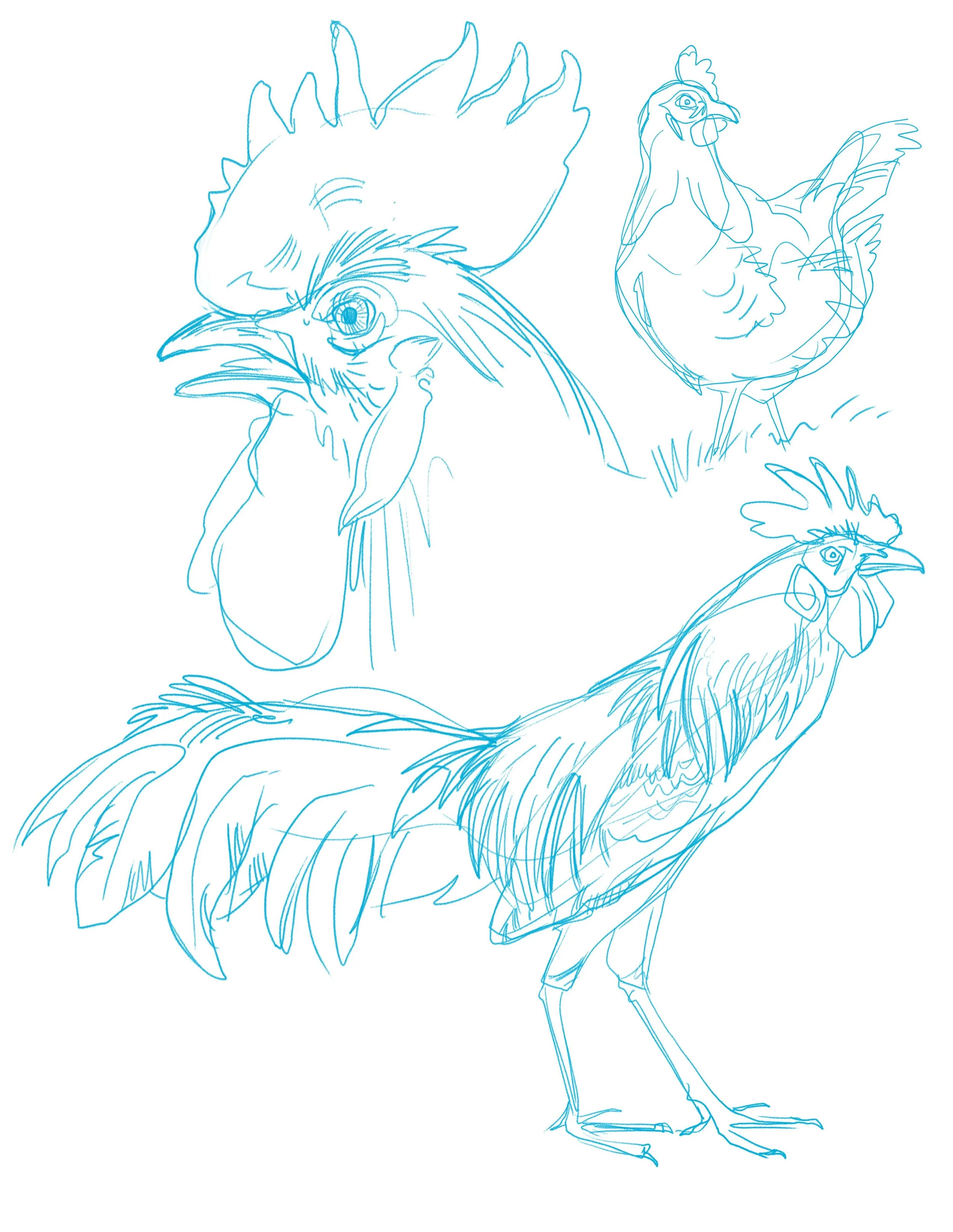 Cock-a-doodle-doo!