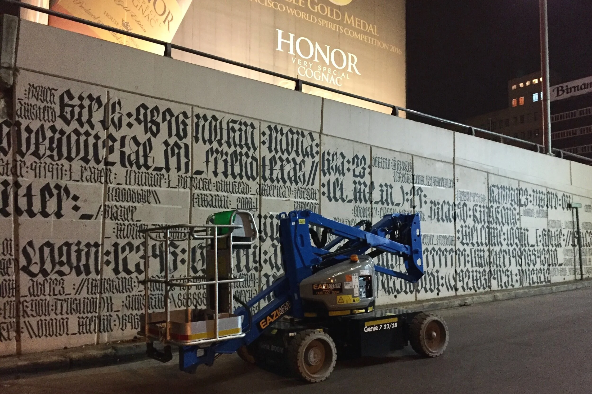 Password, 2017. Nelson Mandela Bridge, Johannesburg. (Copy)