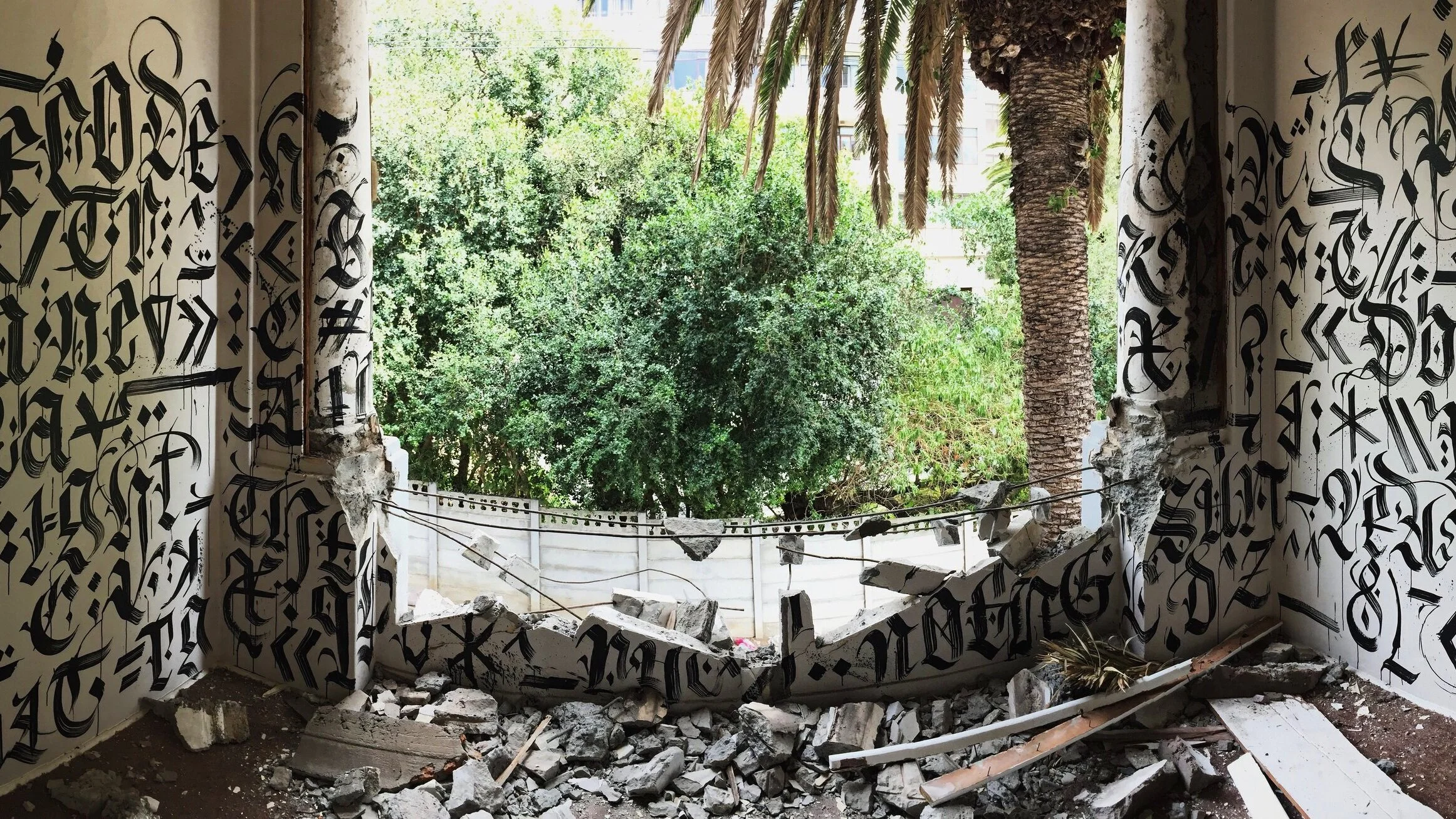 Virus, 2017. Cape Town (Copy)