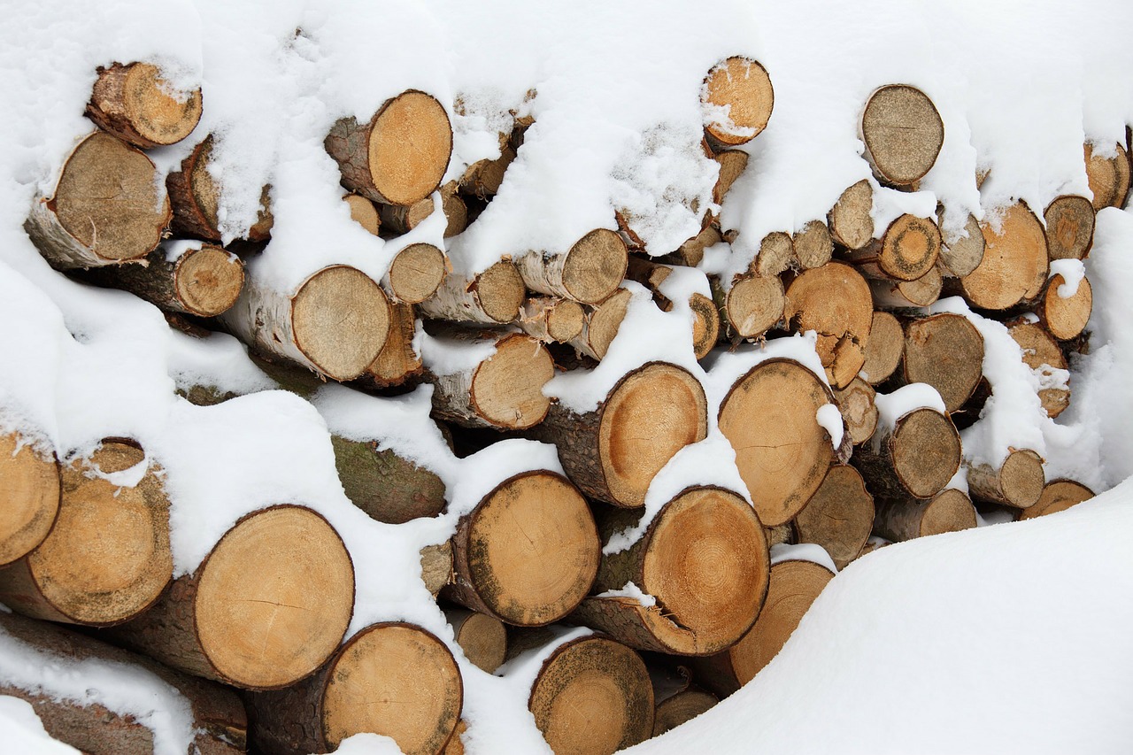 Logs with Snow - Pixabay.jpg