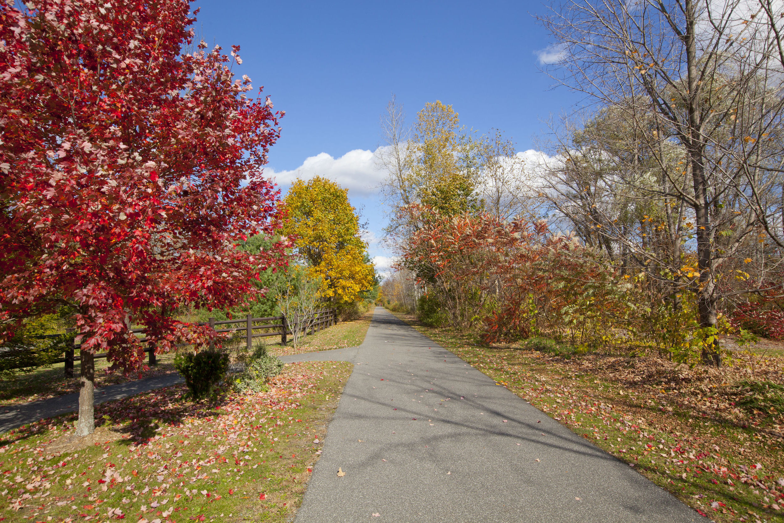 trail in autumn.jpg