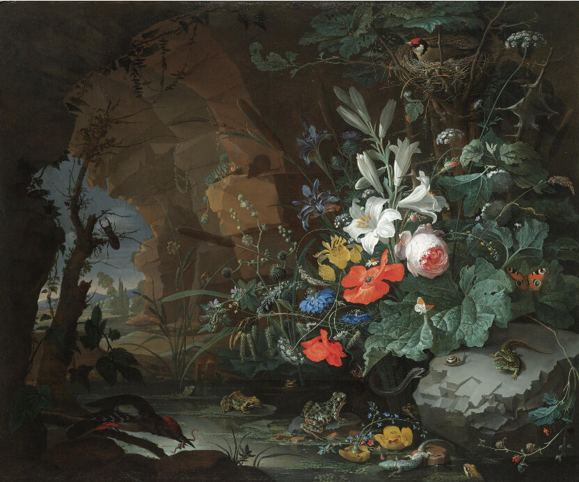 Abraham_Mignon_-_Interior_of_a_grotto_with_a_rock-pool,_frogs,_salamanders_and_a_bird's_nest.jpg