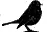 LittleBird.jpg